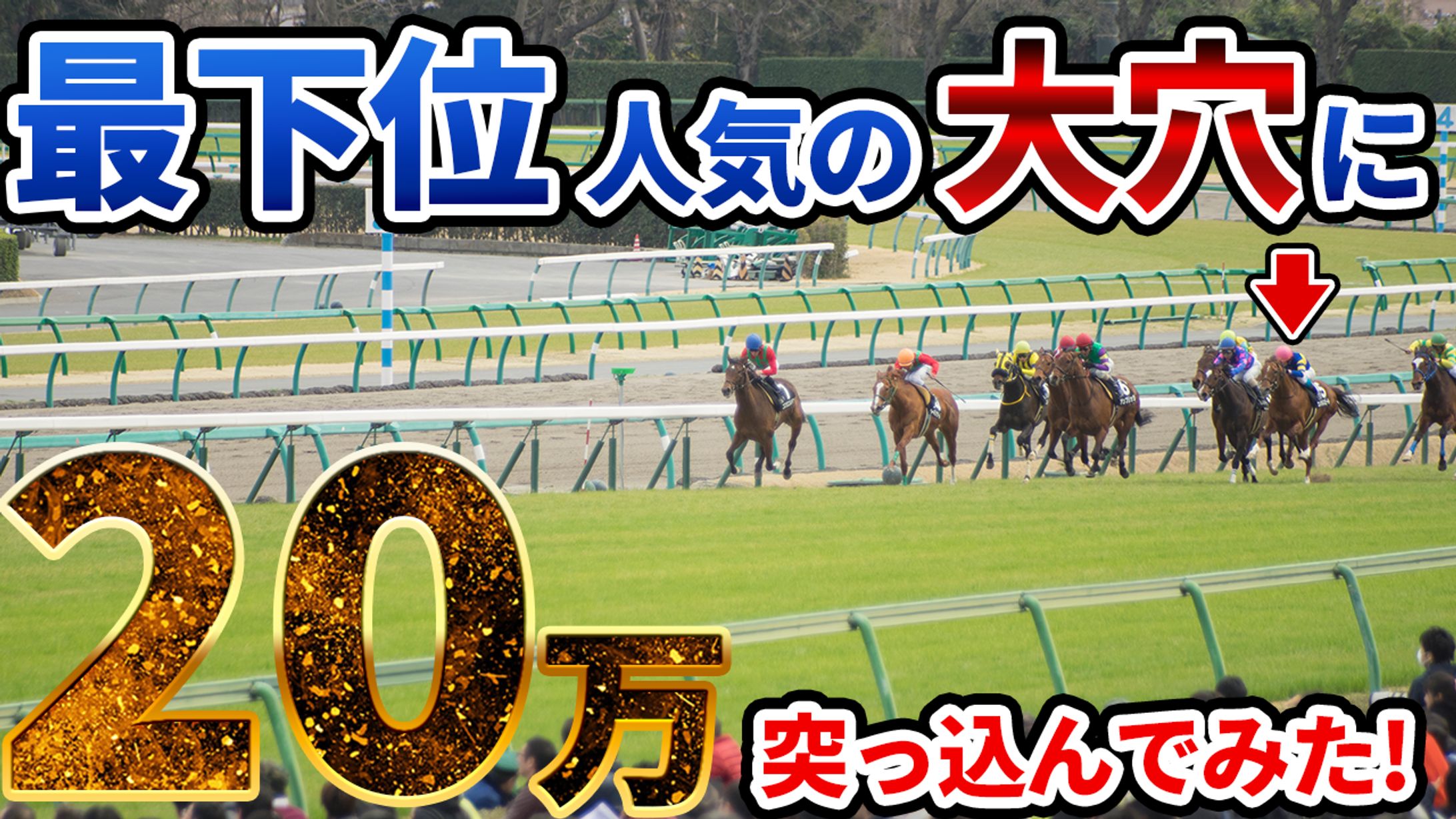 ギャンブル系サンプル1-1