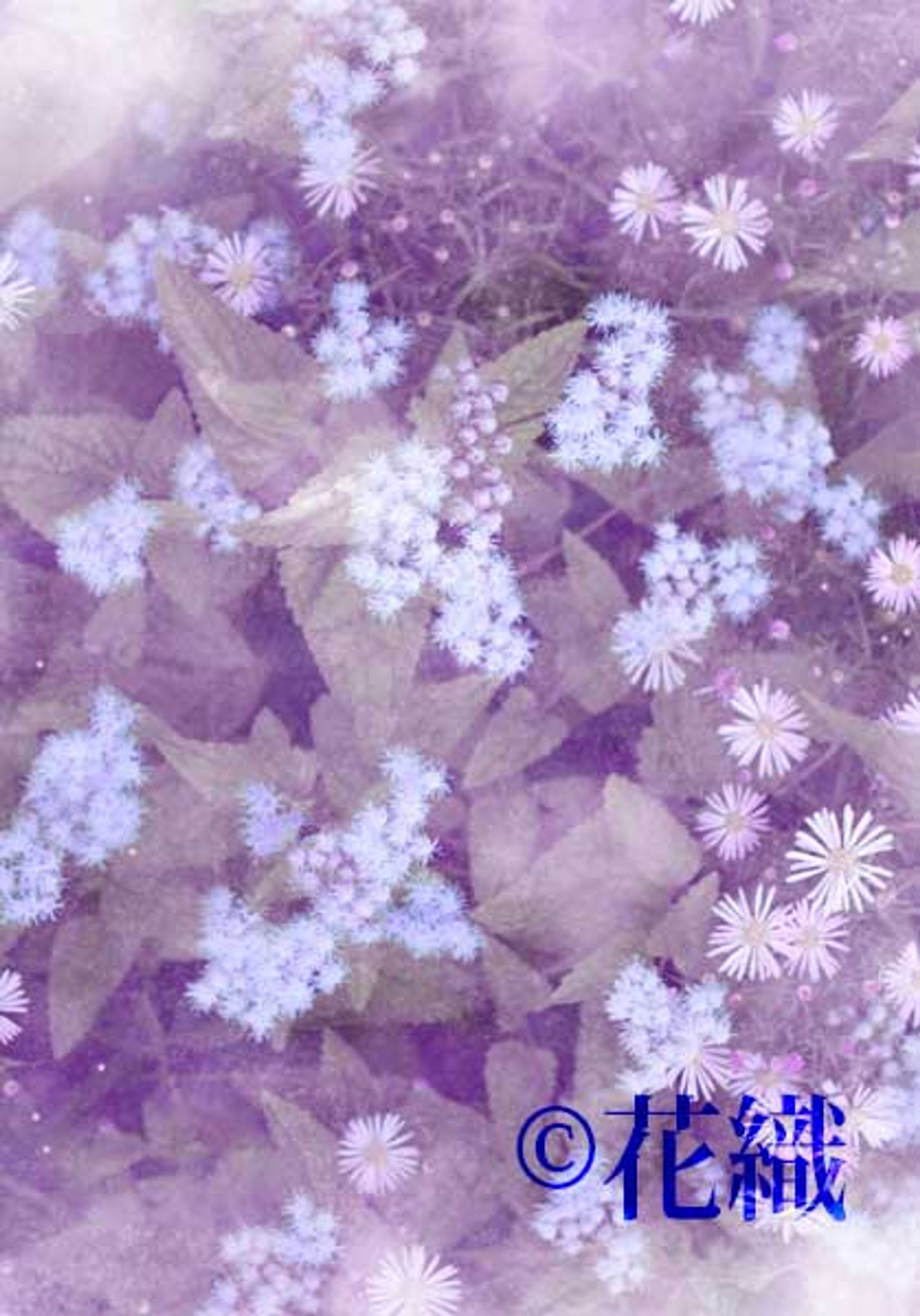 Fantasy mind-1