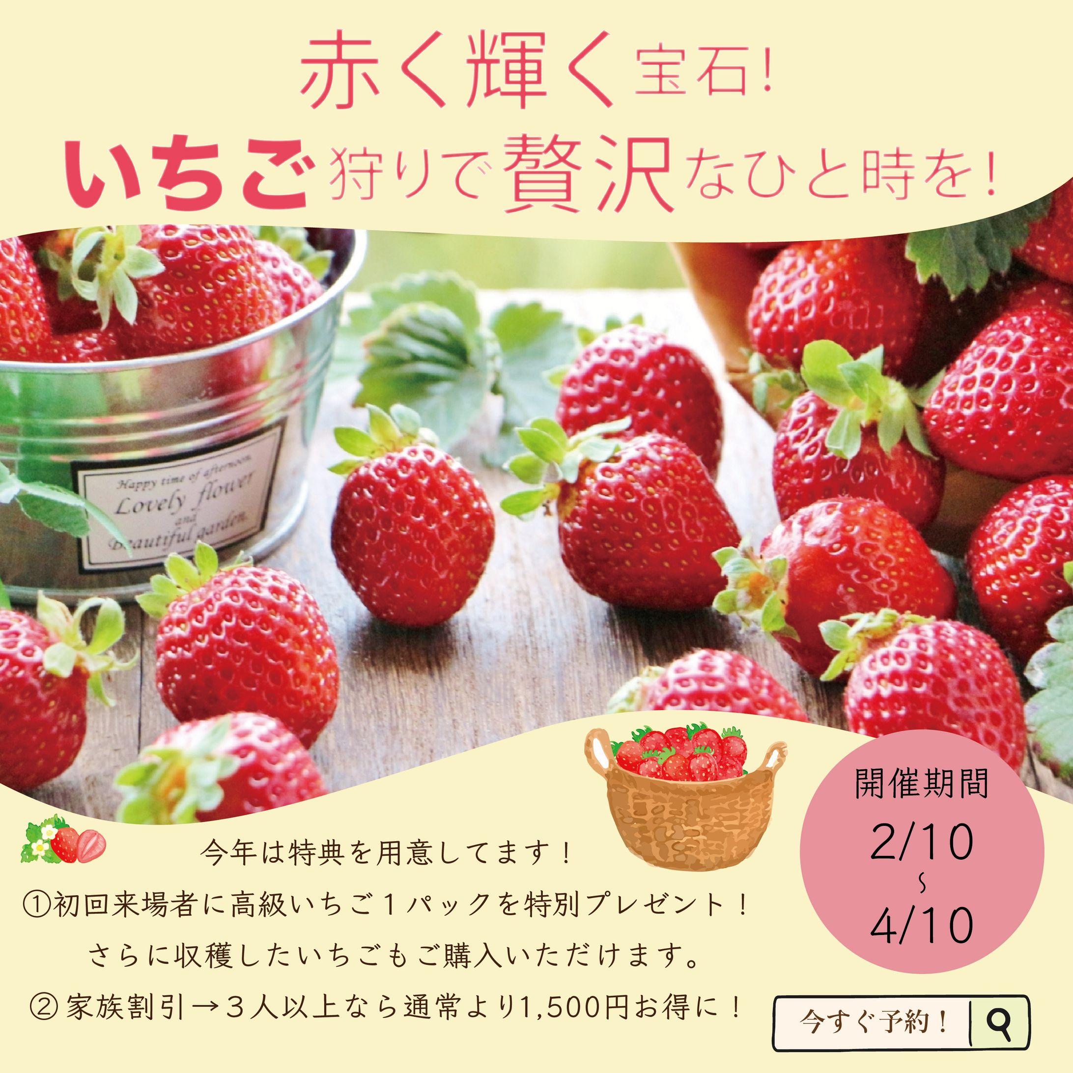 いちご狩りバナー-1