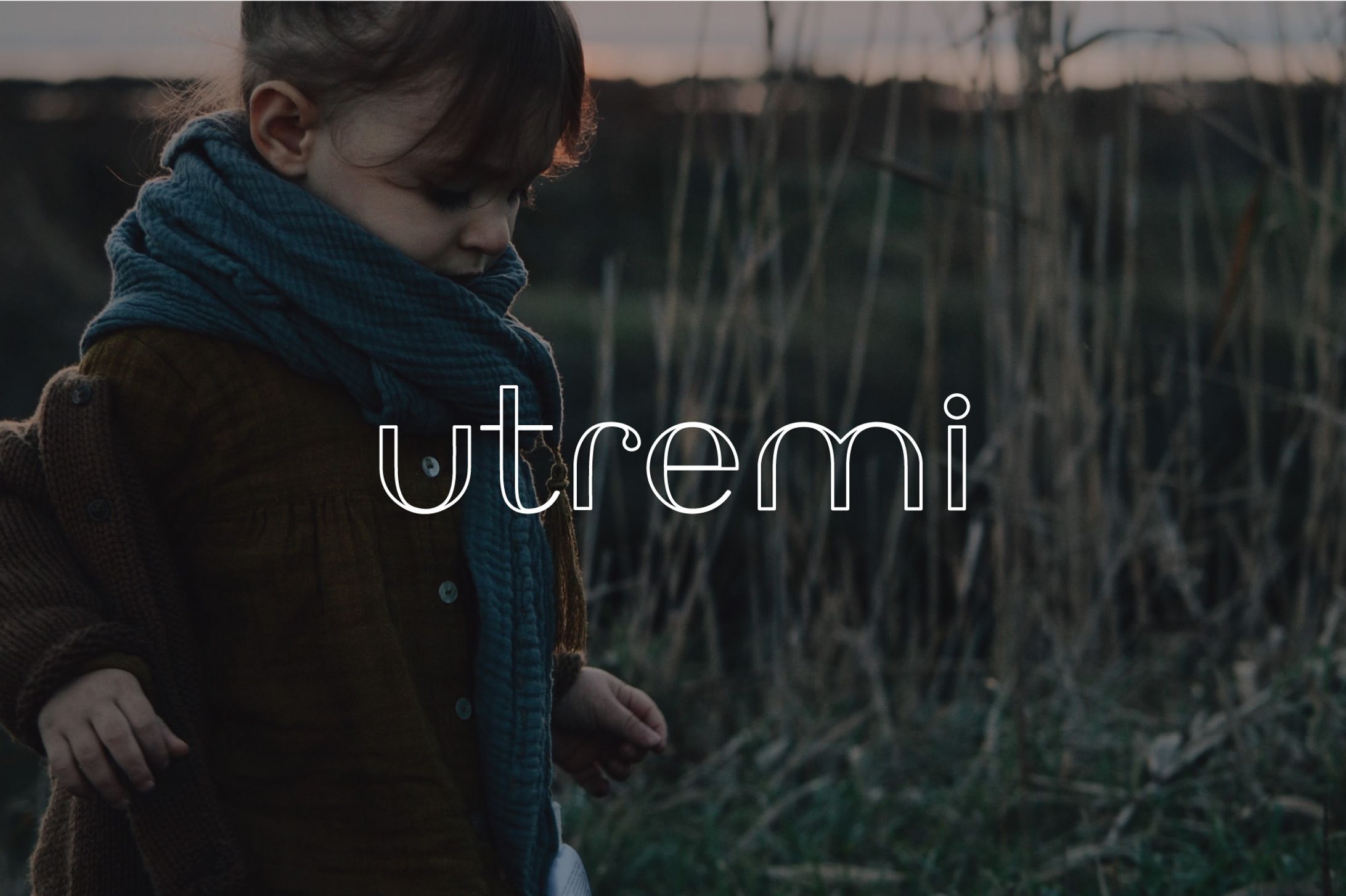 株式会社キャット様-1