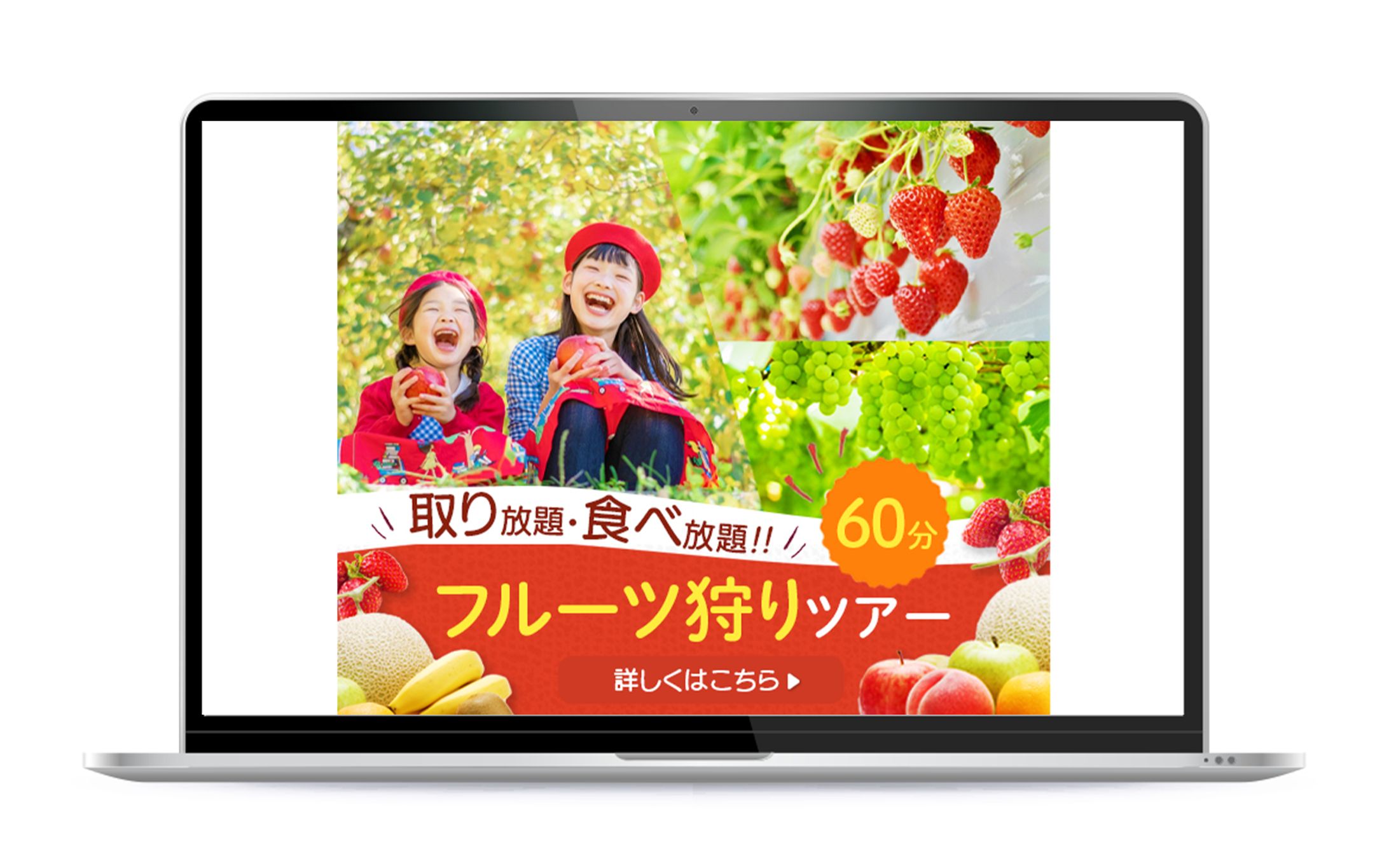 バナー：フルーツ狩り-1