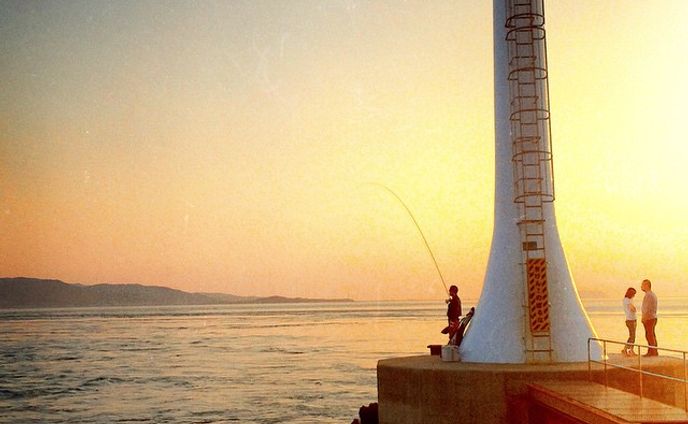 未定、ホームページ