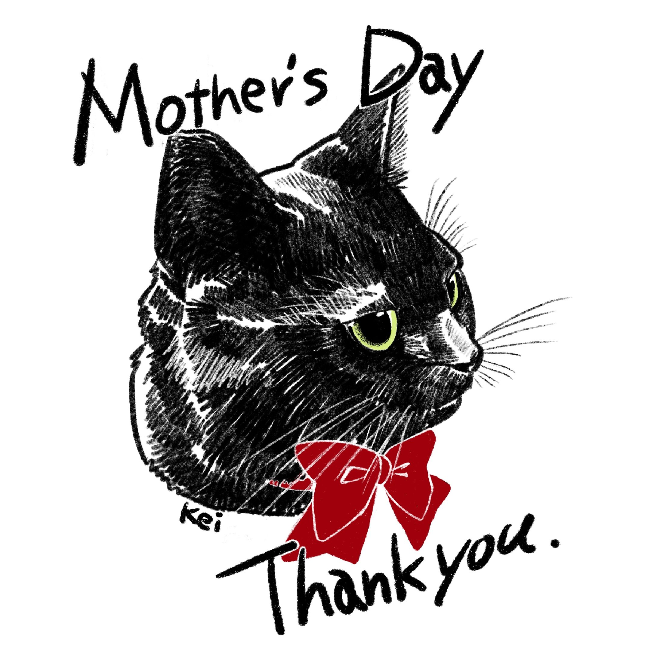 パッケージイラスト猫赤-1