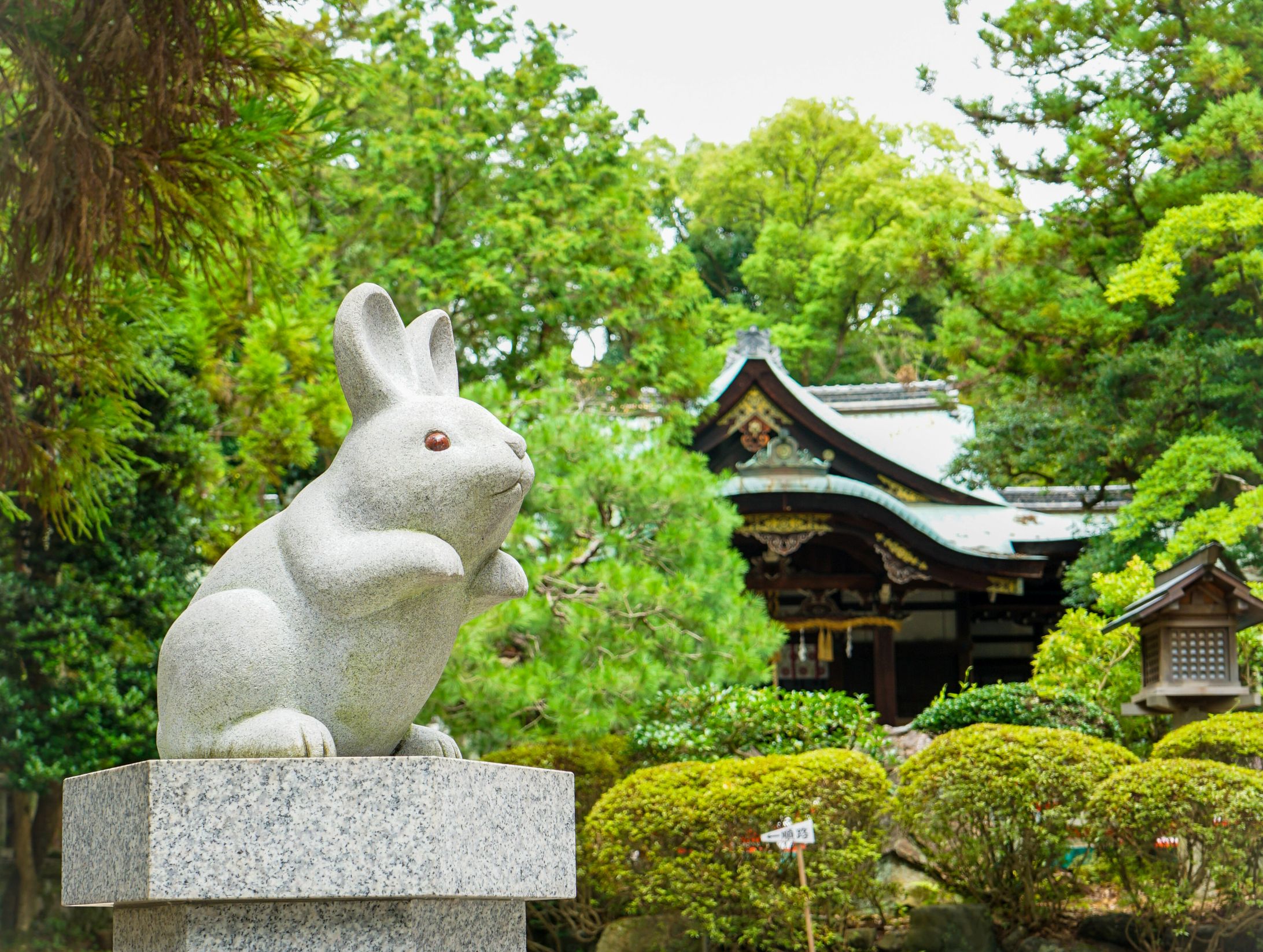 うさぎと神社-1