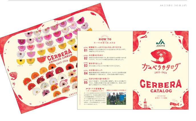 JAわかやま様 ガーベラ冊子