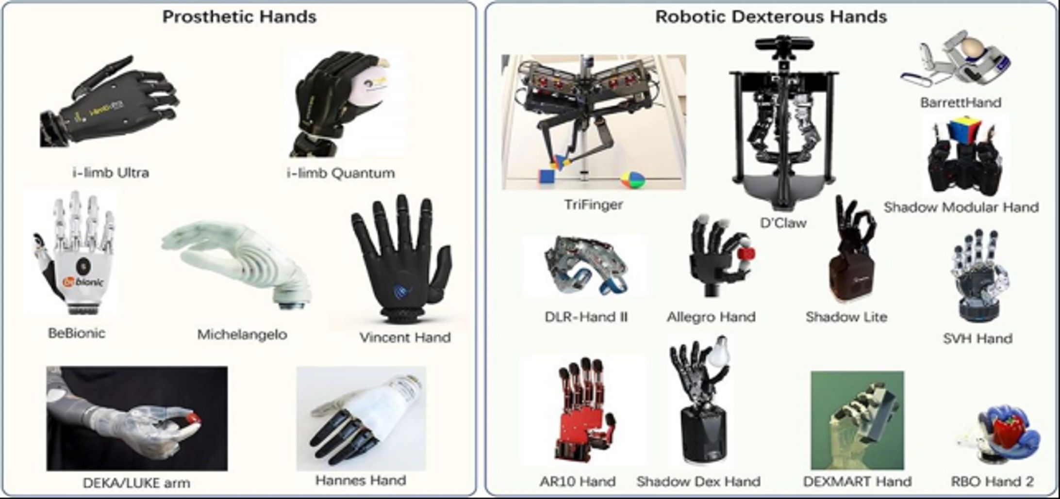 器用な手の世界市場調査レポート2026-1
