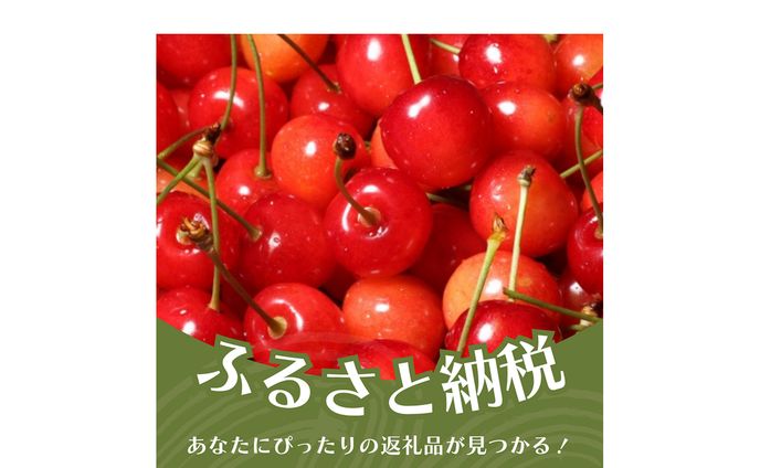【商品画像】ふるさと納税