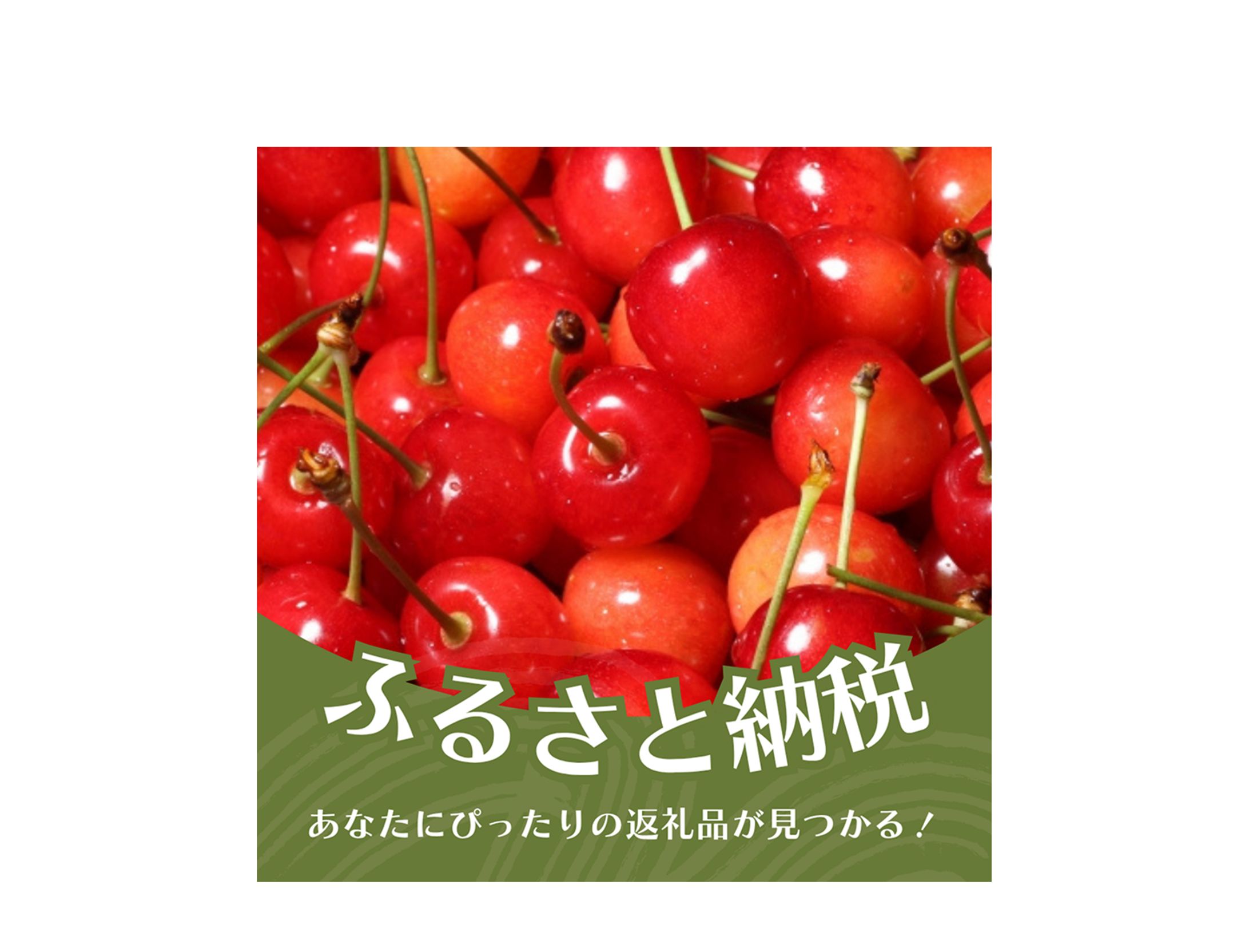 【商品画像】ふるさと納税-1