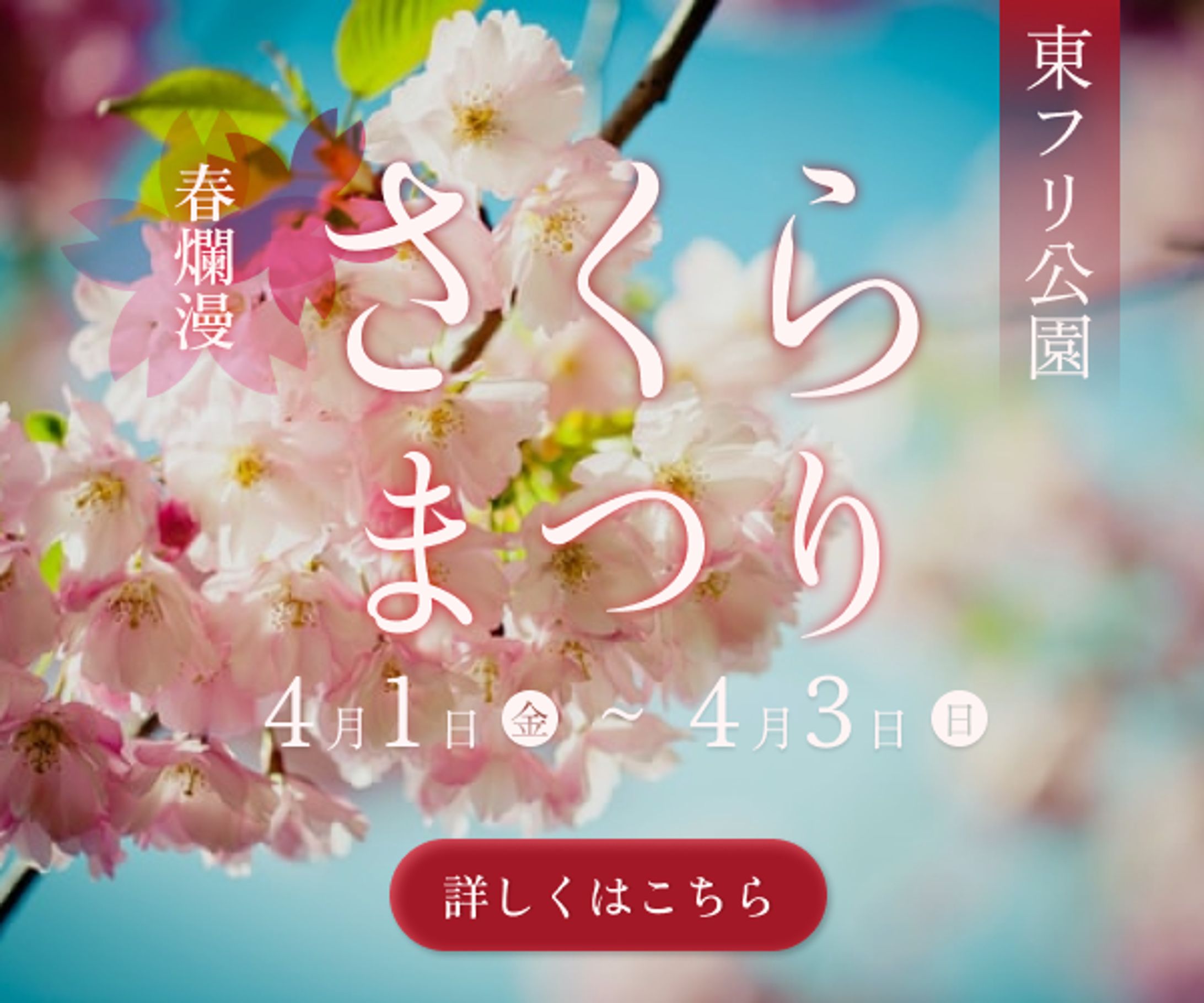 さくらまつりのバナー-1