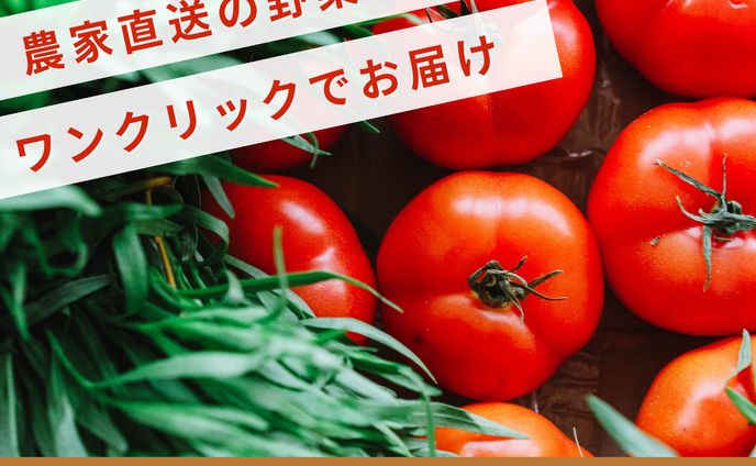 編集・ライター、バナー／サムネイル