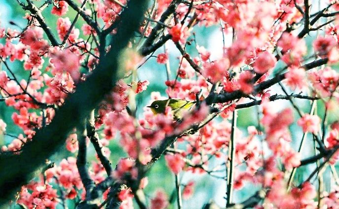 Photo(life)