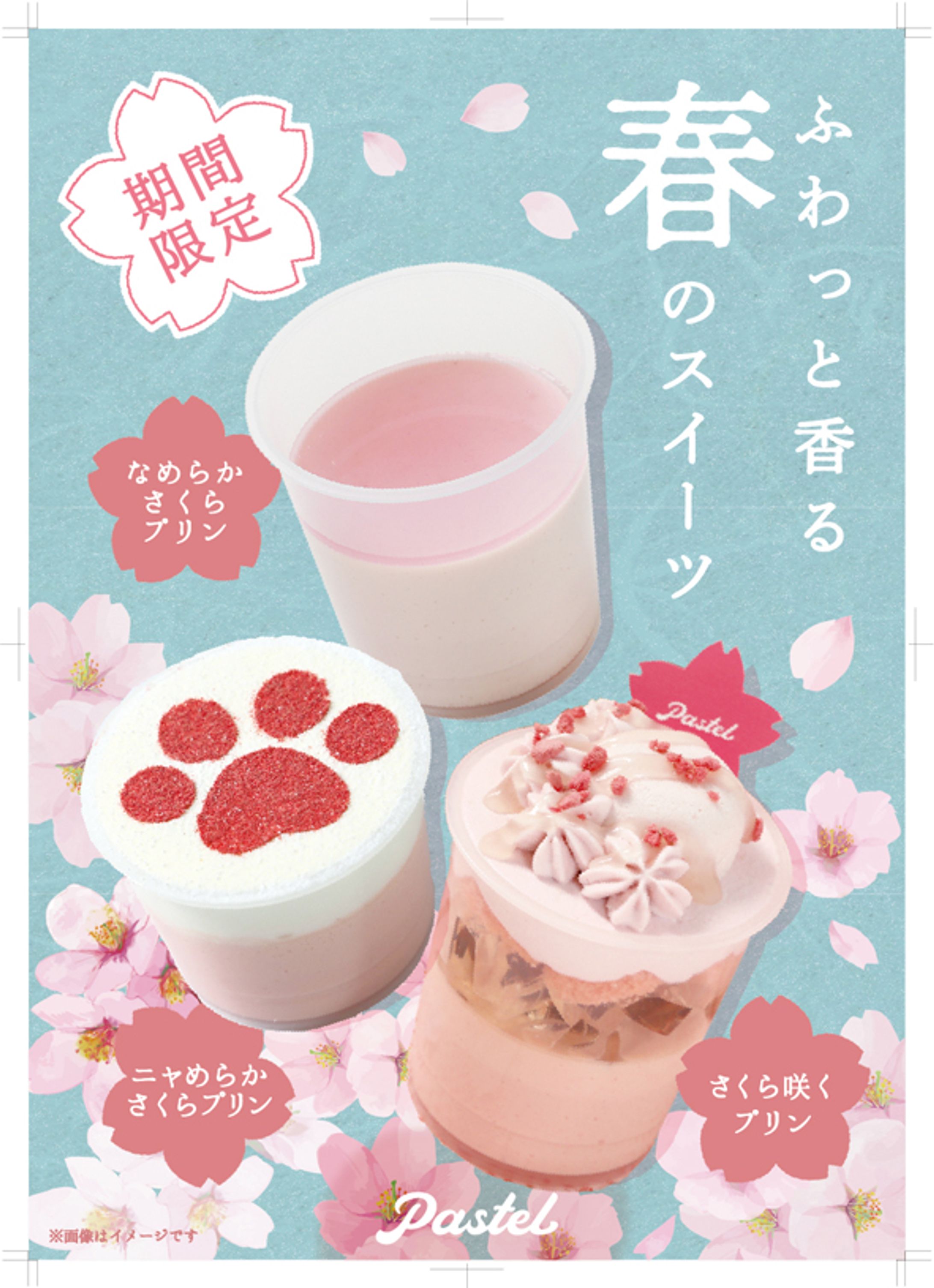 桜スイーツ_販促物-1