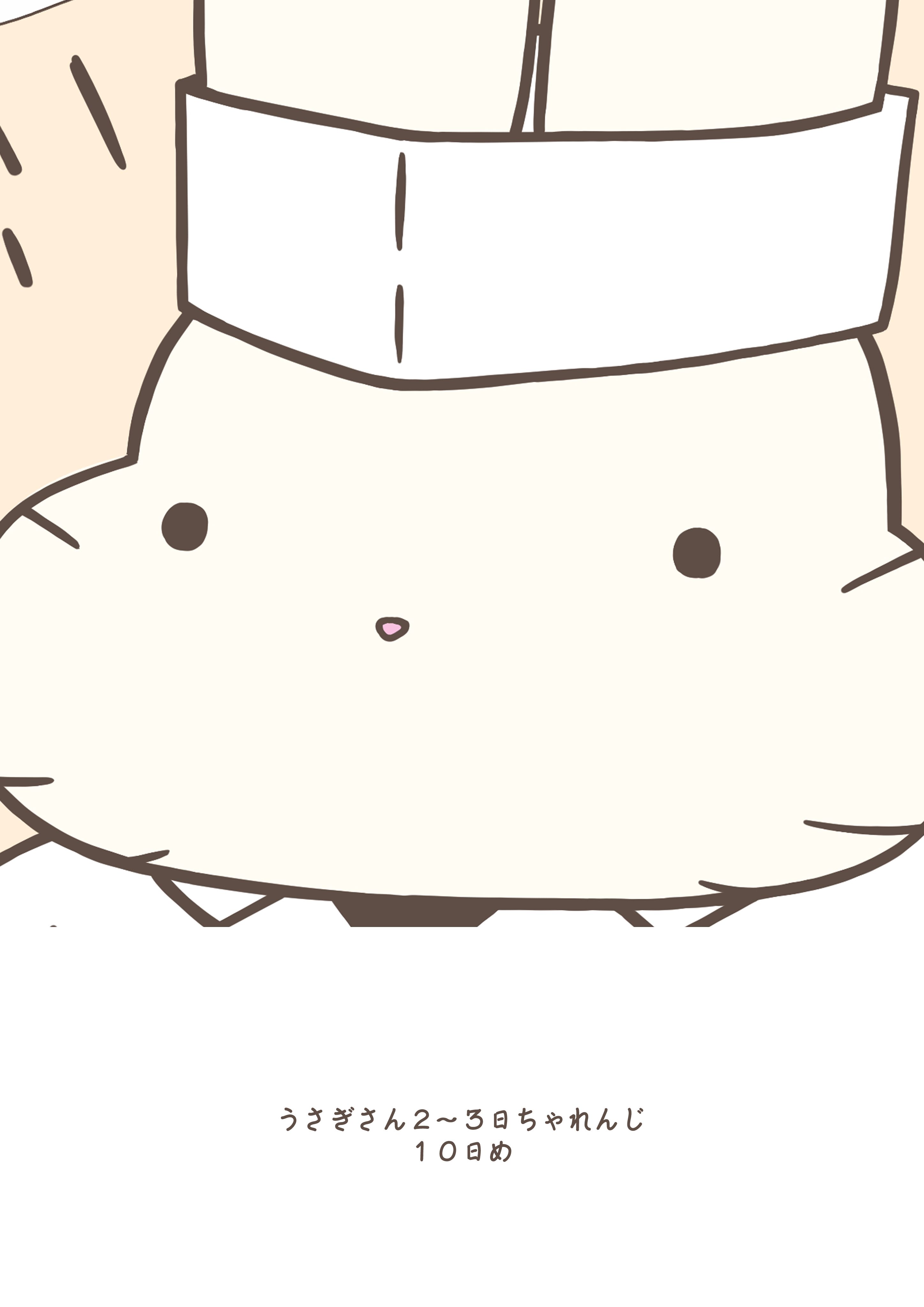うさぎさん専用ページ うさぎさん2〜3日ちゃれんじ 10日め