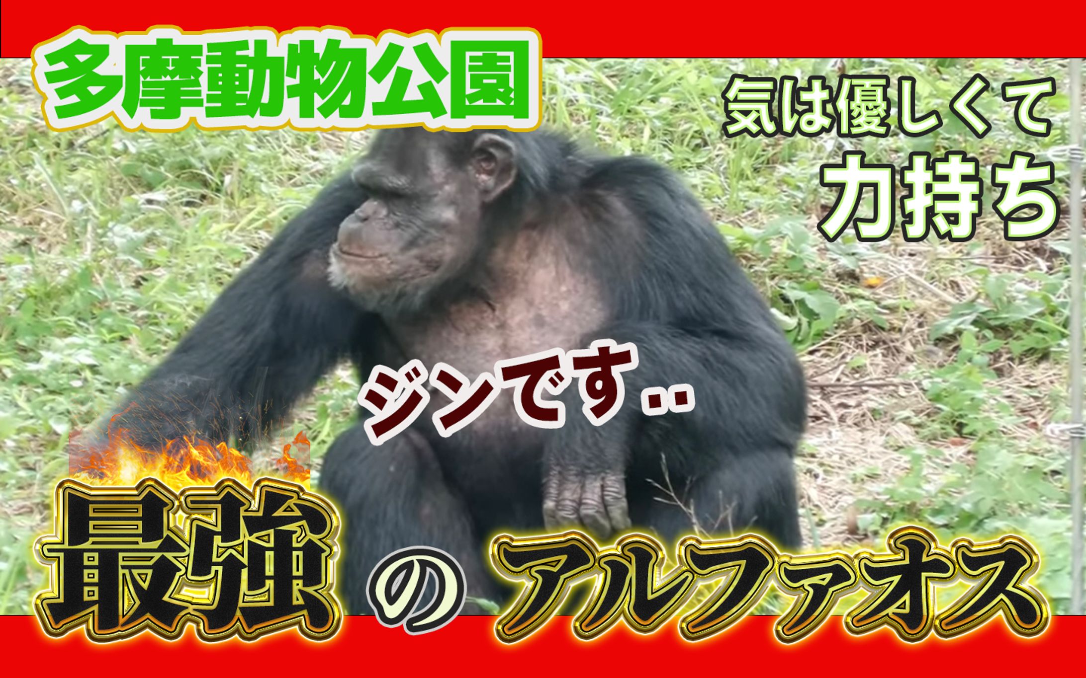 サムネイル（自主制作）-1