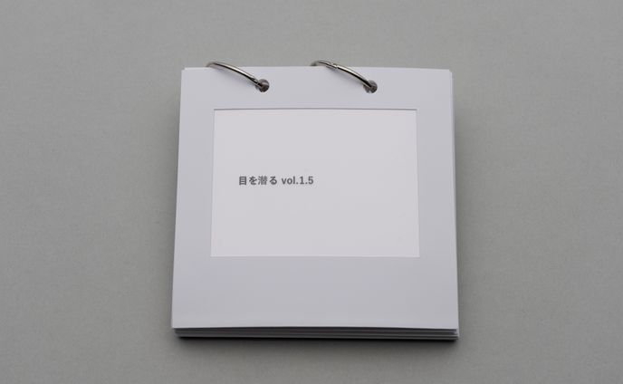 目を潜るvol.1.5（Passing Under the Gaze vol.1.5）