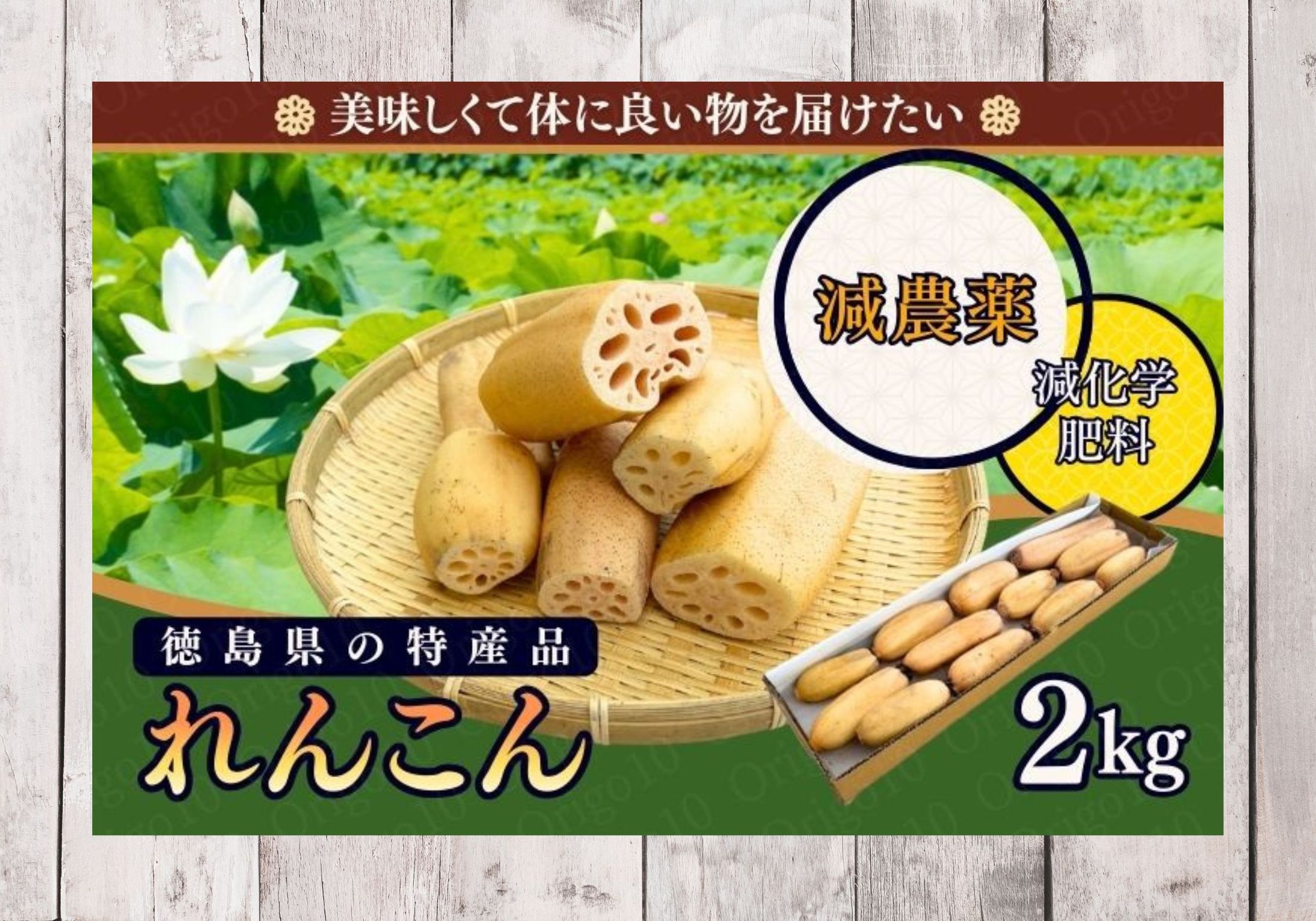 【徳島県産】愛情たっぷりれんこんの商品ページ制作-1