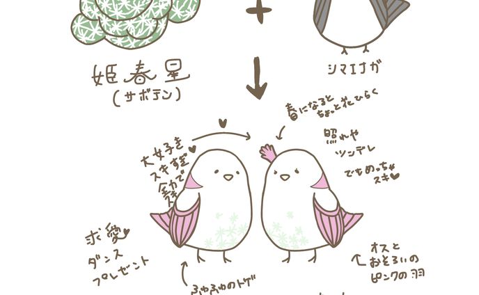 姫春星×シマエナガ