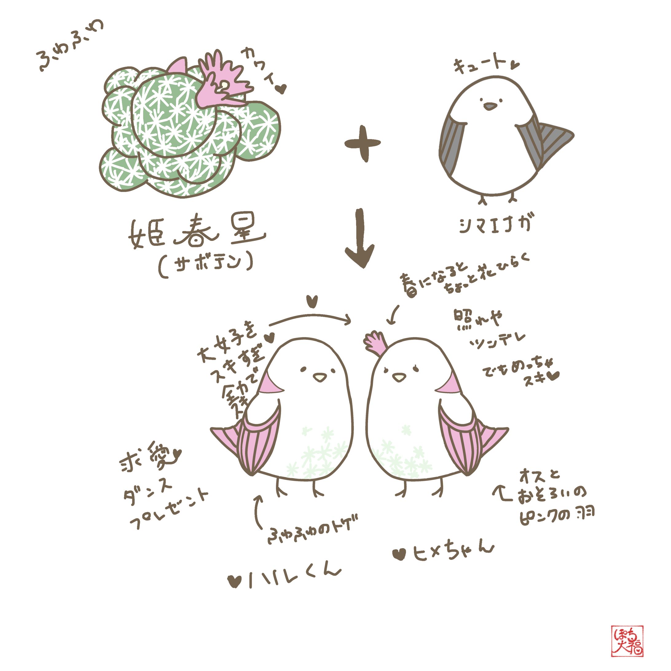 姫春星×シマエナガ-1