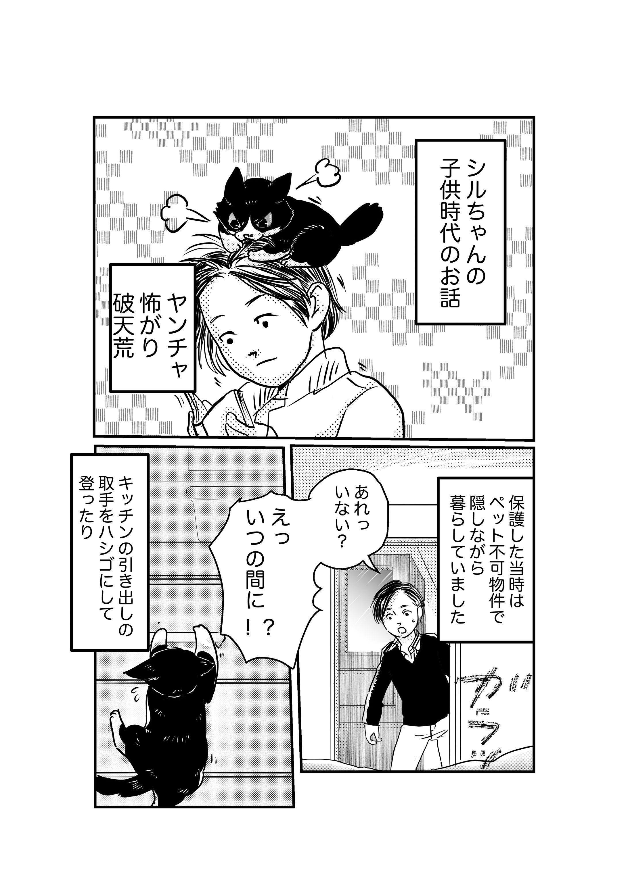 シルベスターとシーフォー-1