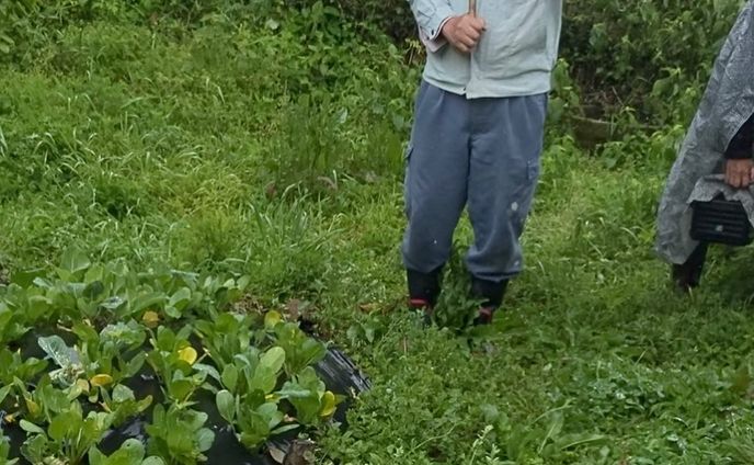 昨日は、念願の菌ちゃんファームへ

参加者の皆さんと雨の中の見学会

具体的な理想の風景を見て、モチベーションがアップ

畝に木材🪵が埋まっています。
数年分の微生物の餌になるそうです。

数年がかりで畑を育てていきます。