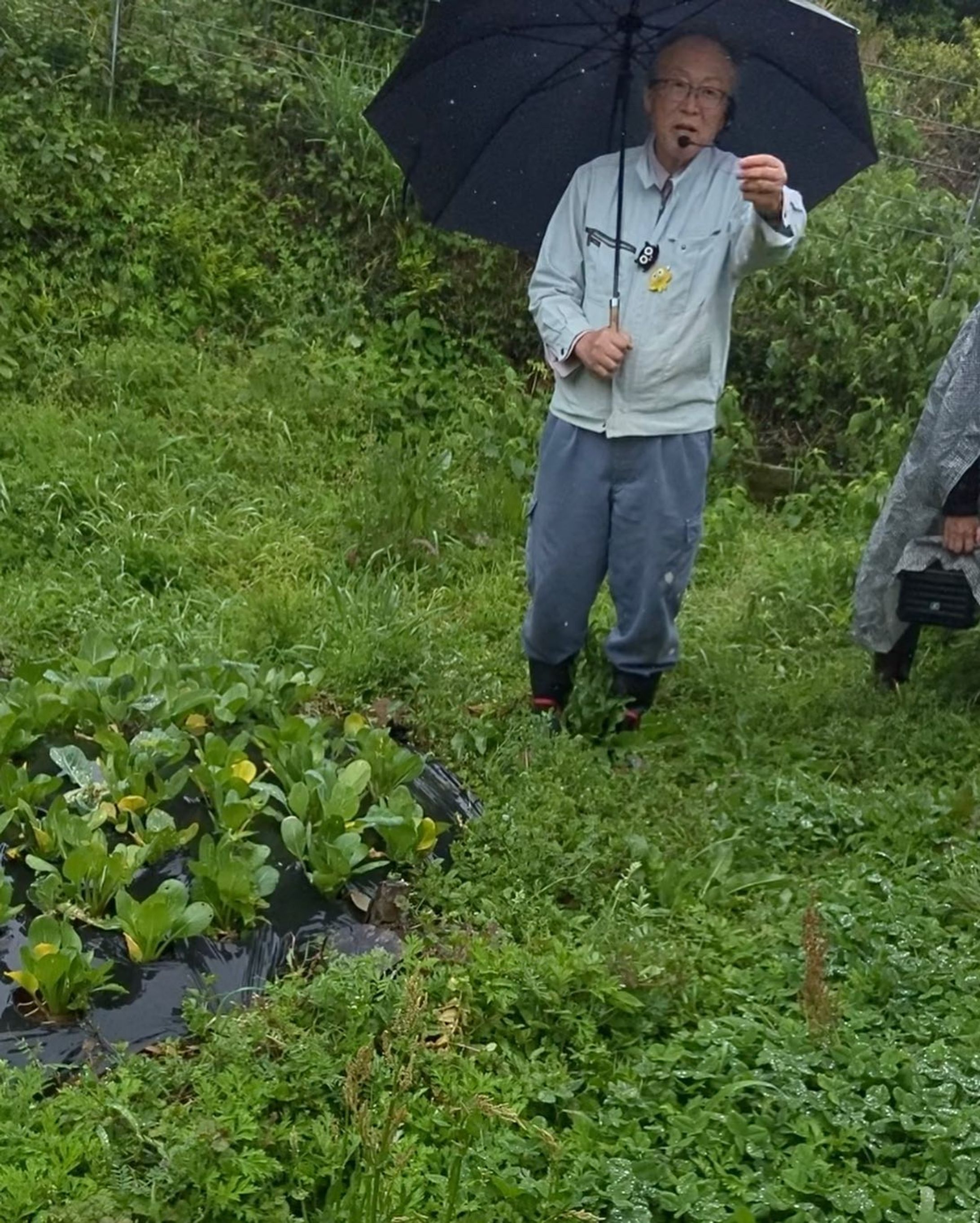 昨日は、念願の菌ちゃんファームへ

参加者の皆さんと雨の中の見学会

具体的な理想の風景を見て、モチベーションがアップ

畝に木材🪵が埋まっています。
数年分の微生物の餌になるそうです。

数年がかりで畑を育てていきます。-1