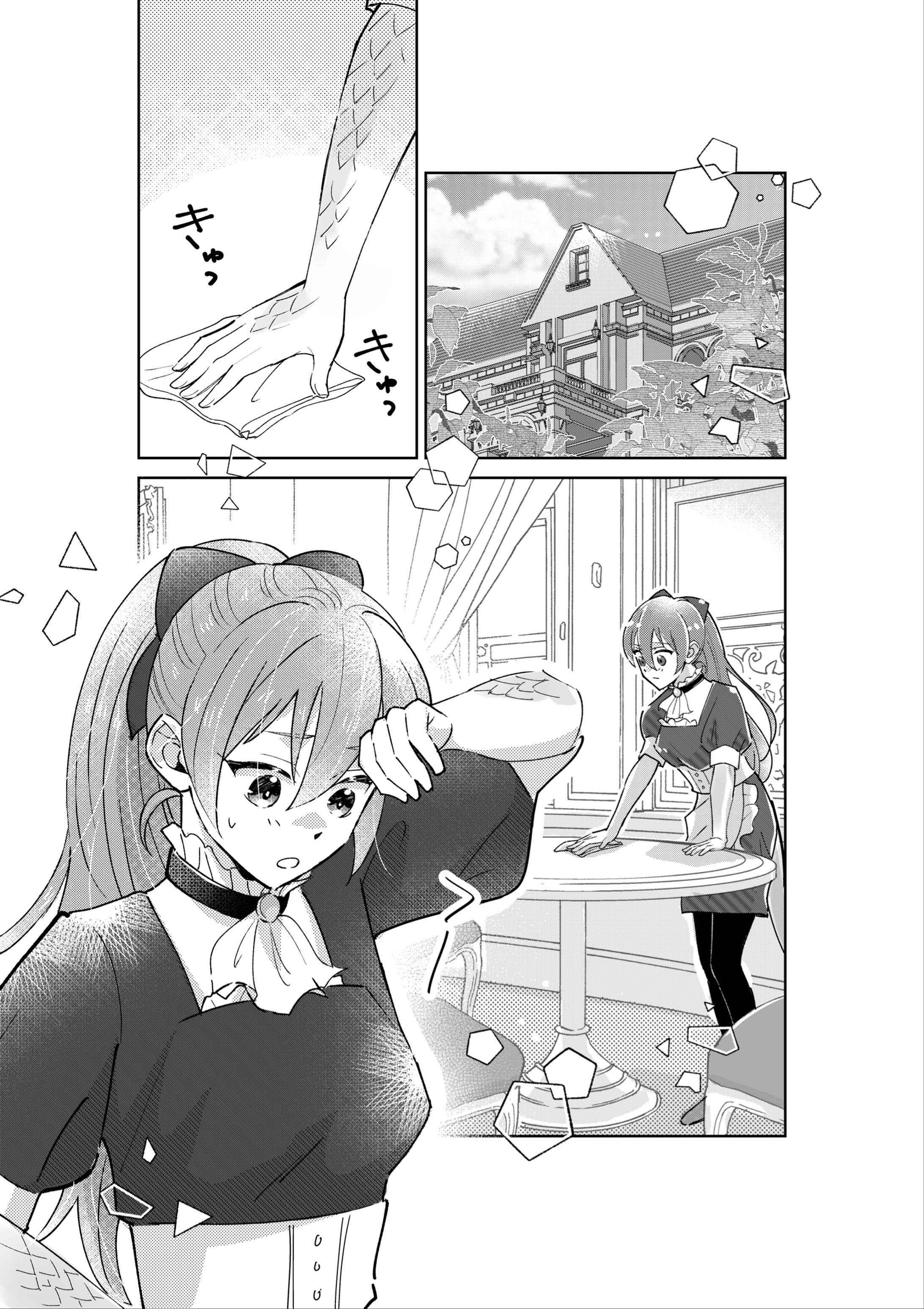 家事をするメイドリザちゃん-1