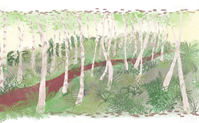 いつもの道 no.4（デジタル）