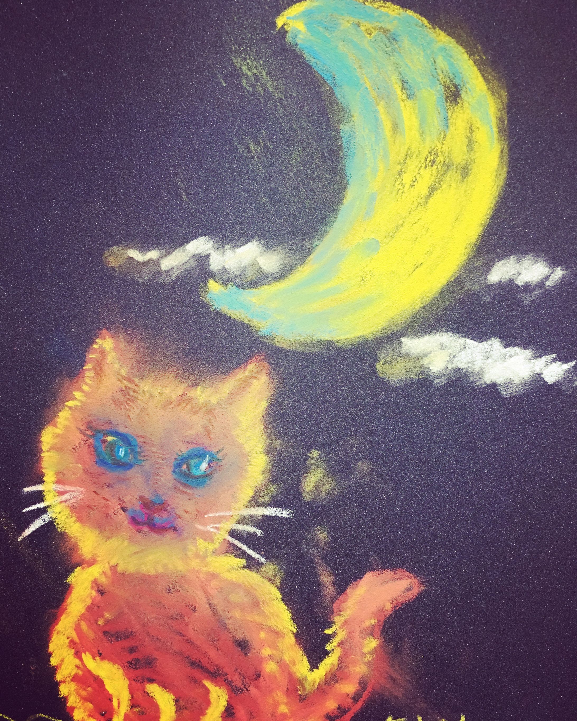 月夜とニャン-1