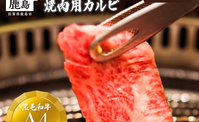 楽天_佐賀牛商品ページ