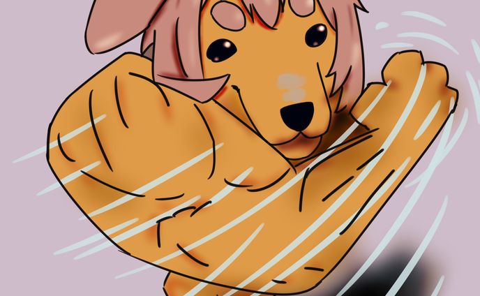 コロマッチョ犬