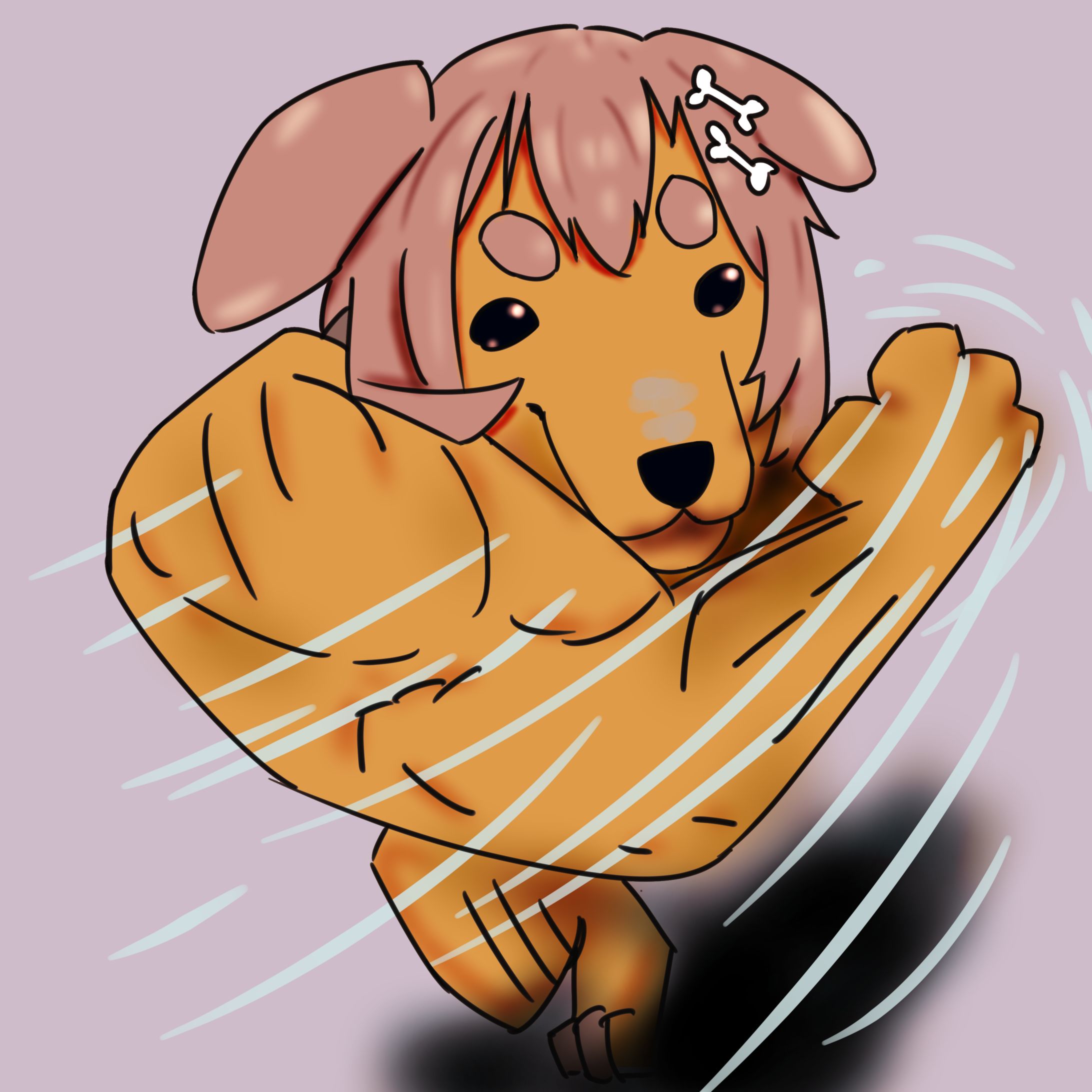 コロマッチョ犬-1