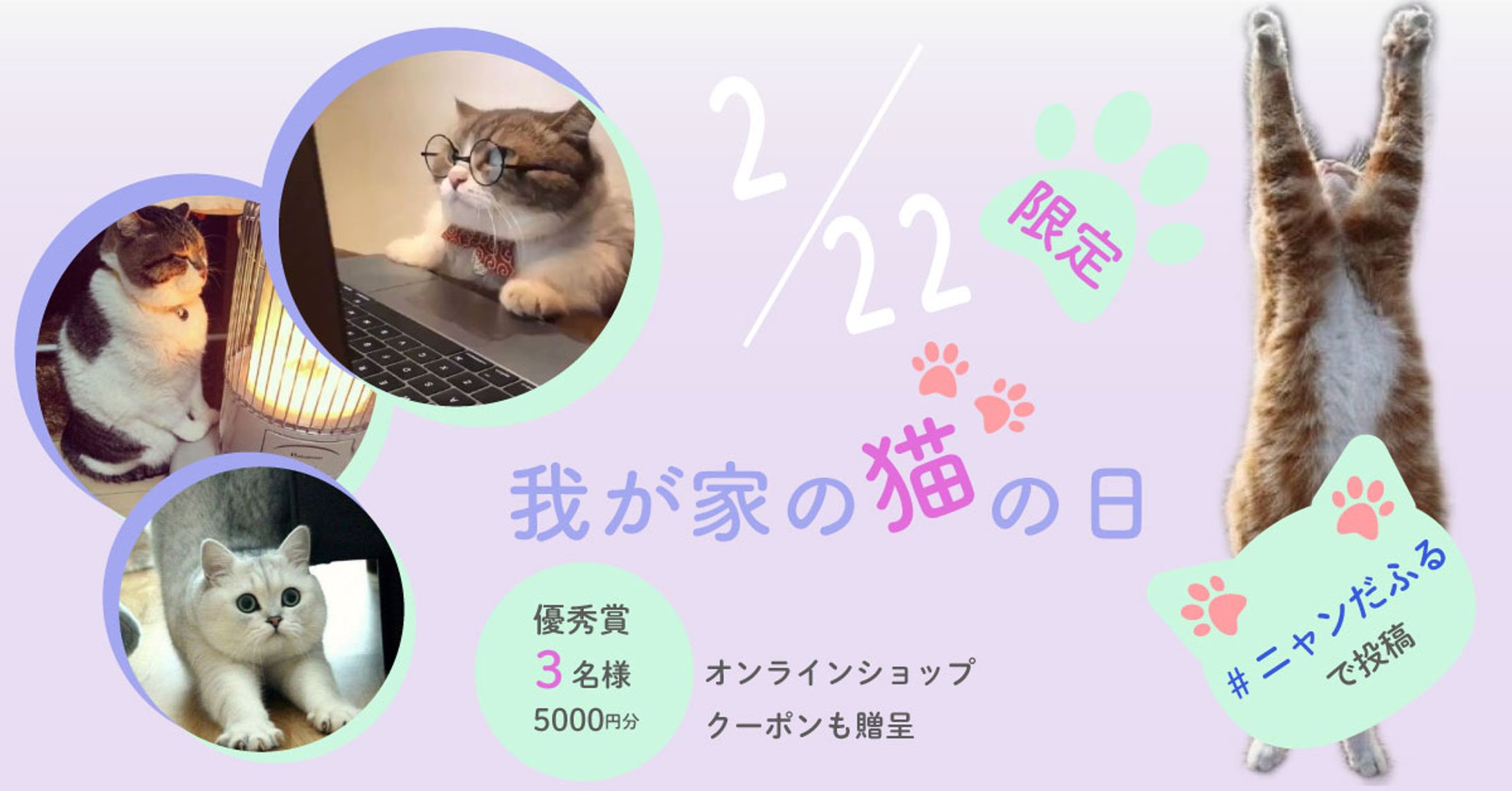 家の猫フォトコンテストバナー-1