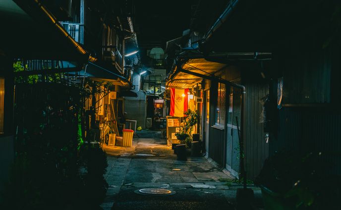 Kagoshima city