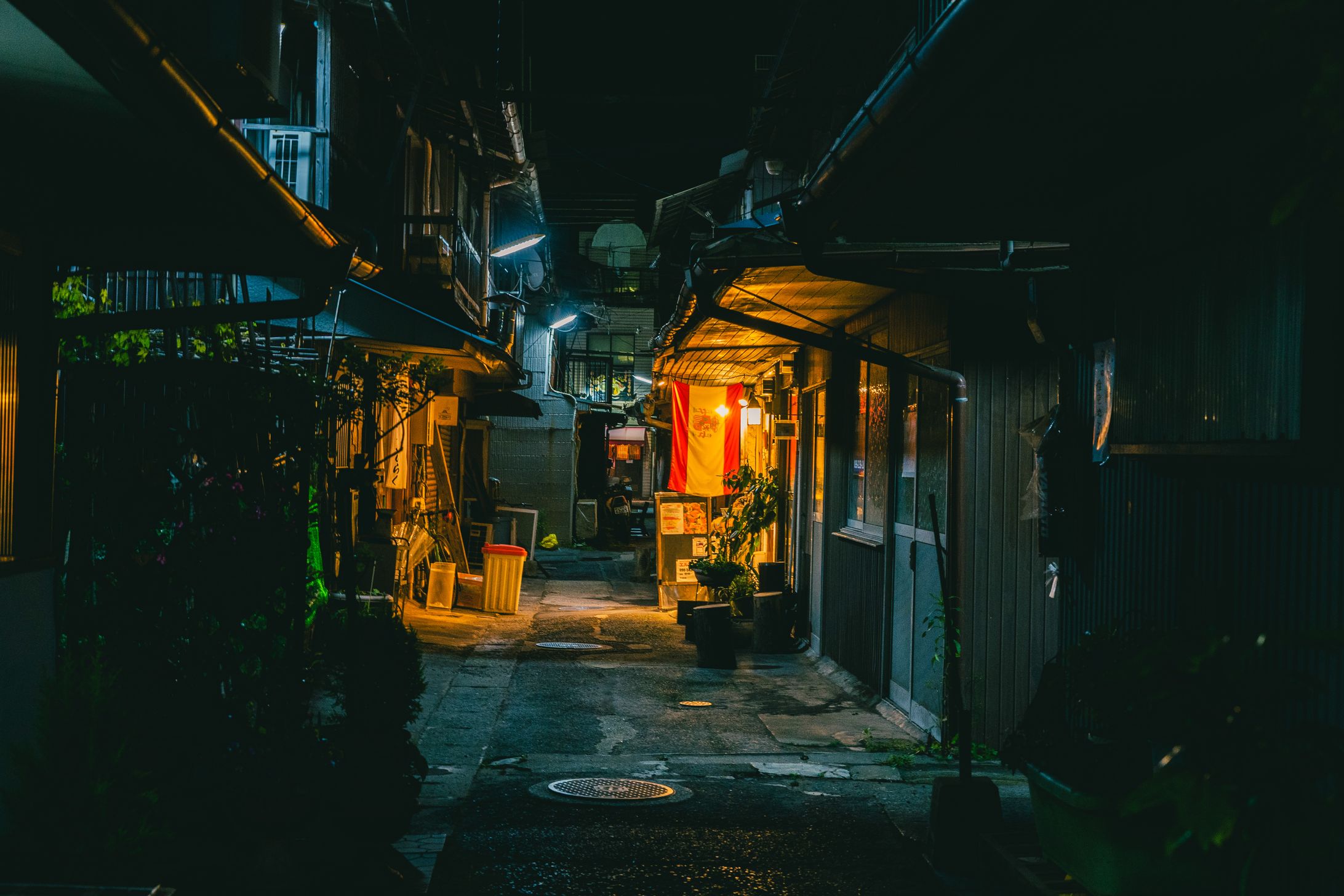 Kagoshima city-1