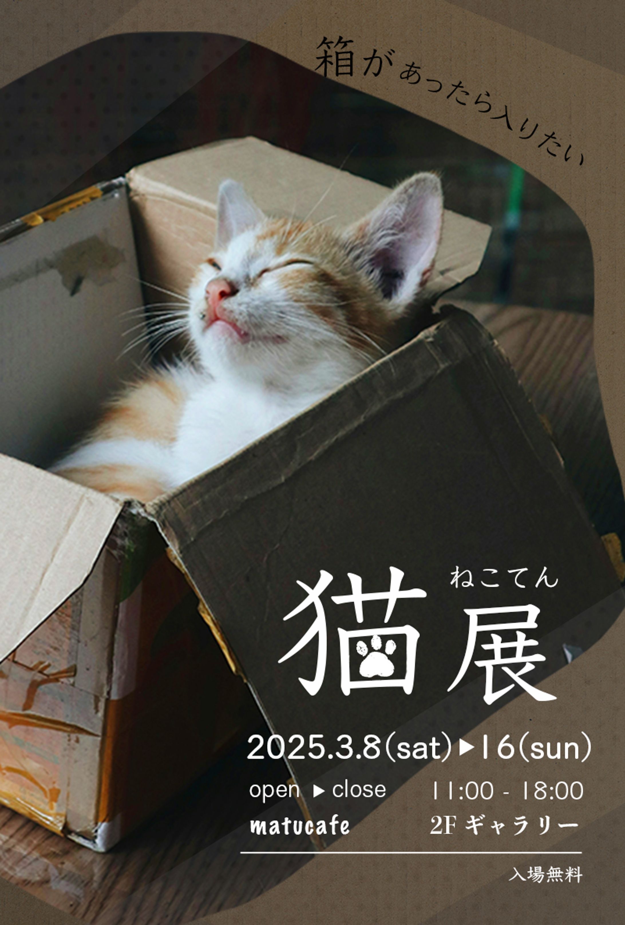 猫展のDMデザイン-1