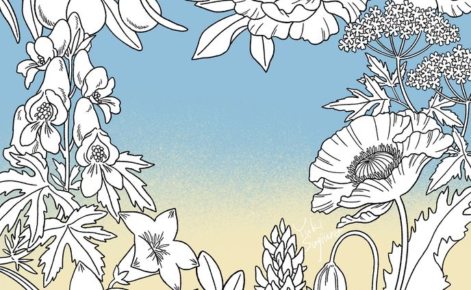 【Original】薬草イラスト