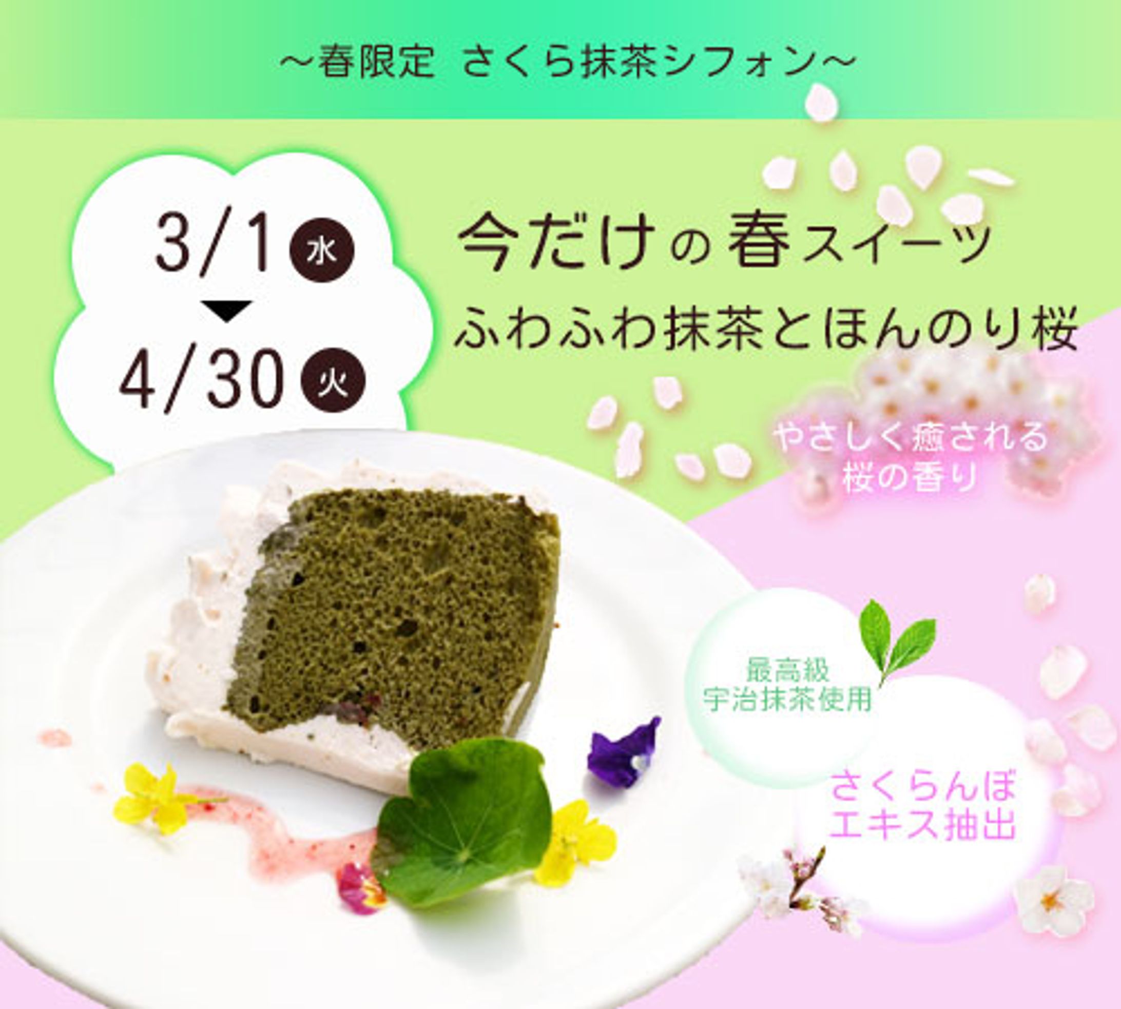 桜抹茶ふわふわ限定スイーツ♩-1