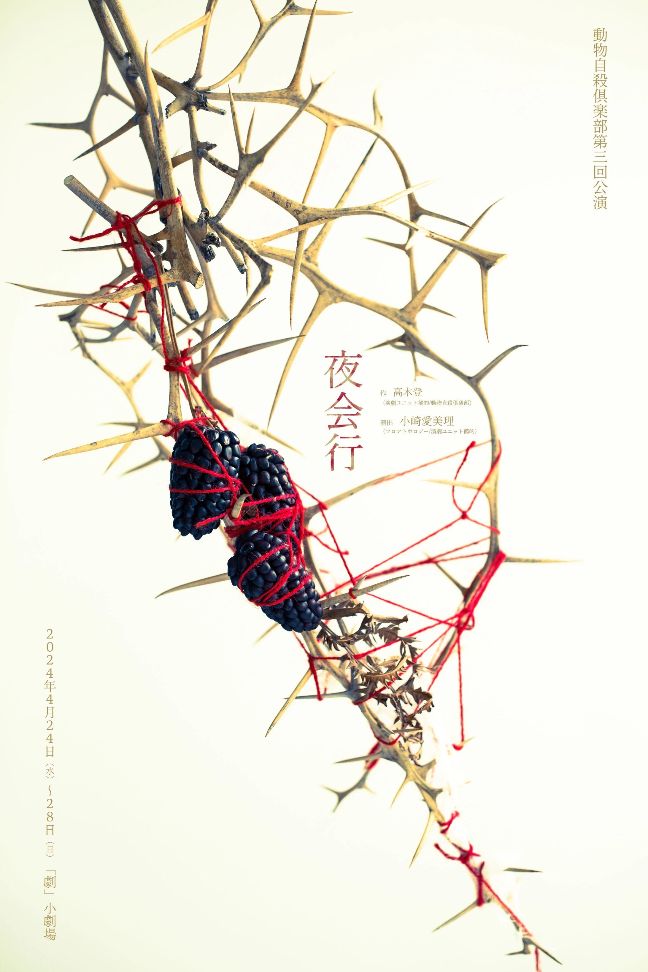 「夜会行」2024 streaming-1
