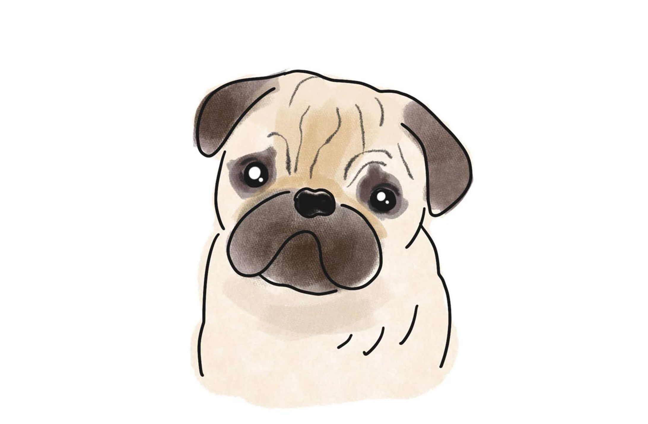 【イラスト】動物-1
