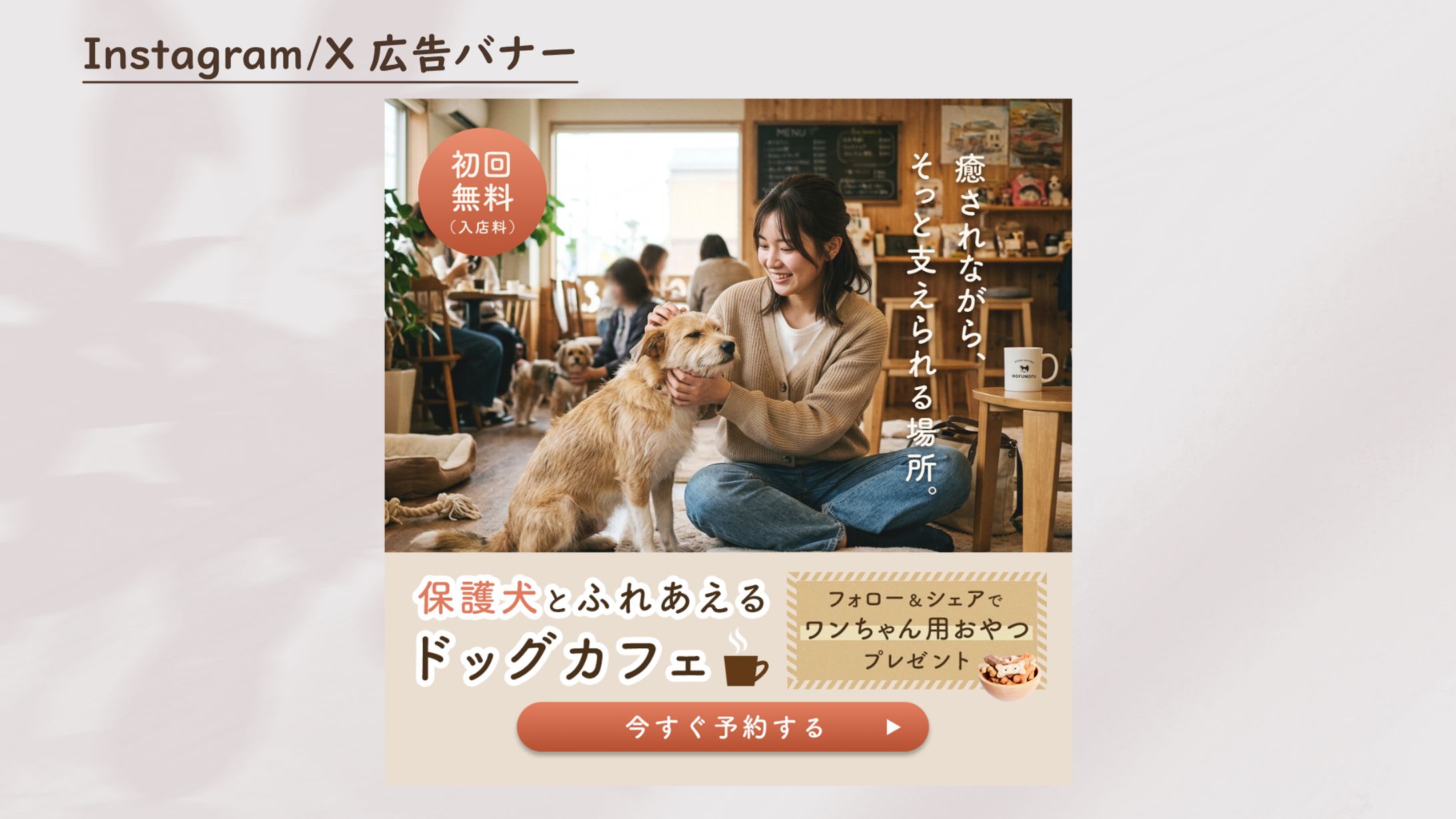 保護犬とふれあえるドッグカフェ【社会性＋体験訴求】-1