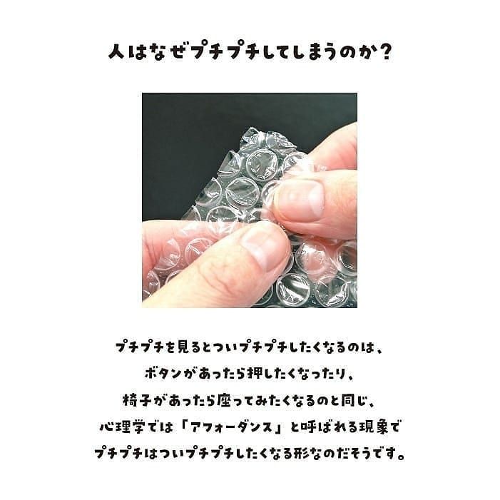 本日、発売* 爆裂音3倍!! つぶす専用プチプチ「プッチン 本日、発売* 爆裂音3倍!! つぶす専用プチプチ「プッチン