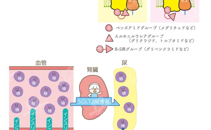 糖尿病ケア+（プラス）2022連載『薬の説』