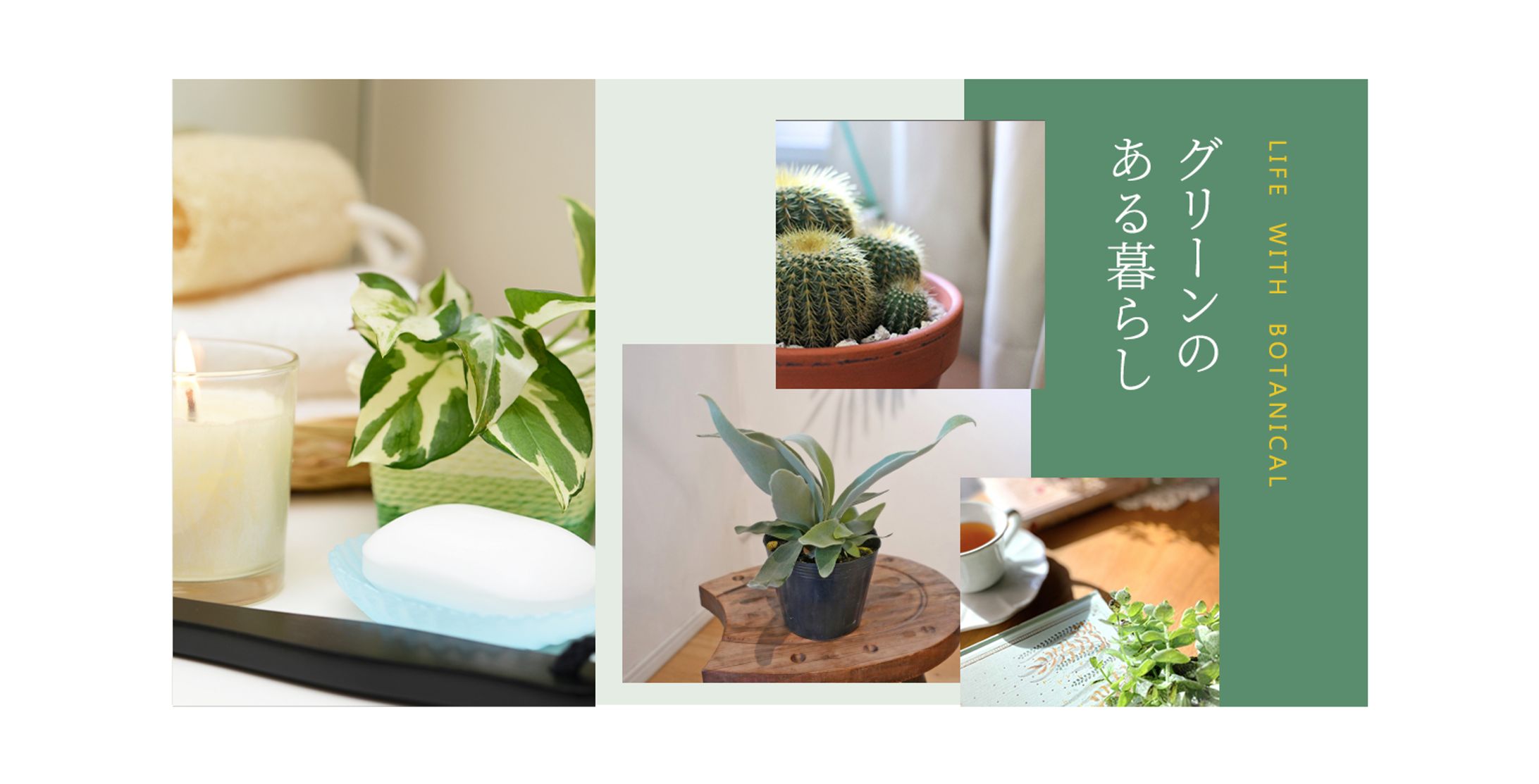 模写：インテリア（植物）-1