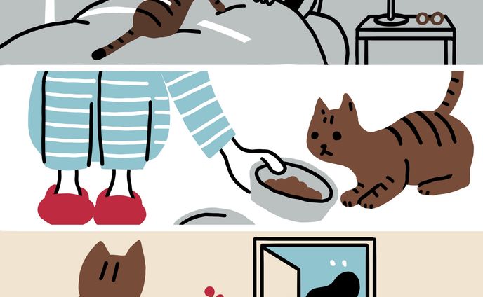 daily routine 02