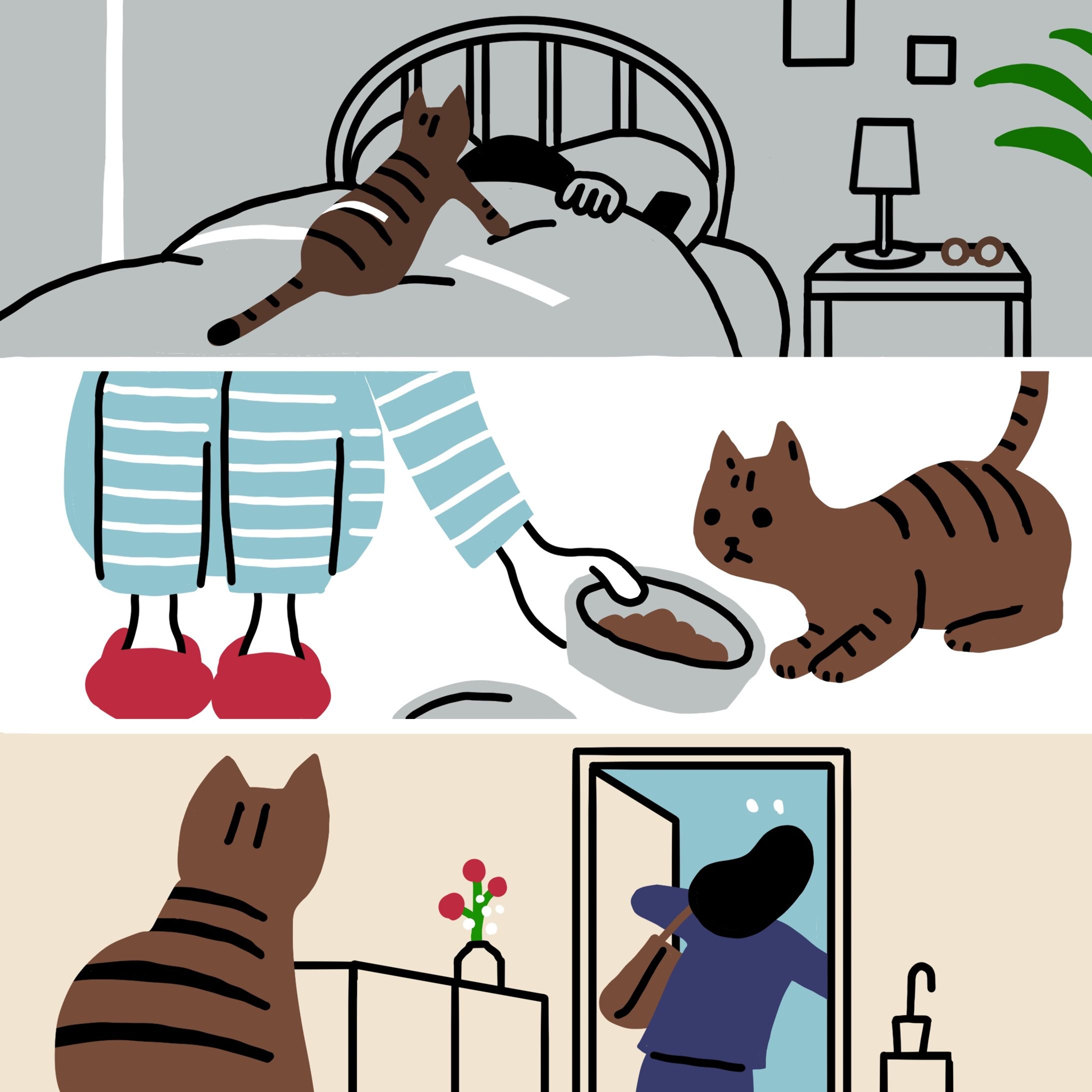 daily routine 02-1