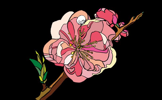 12ヶ月の花と子供