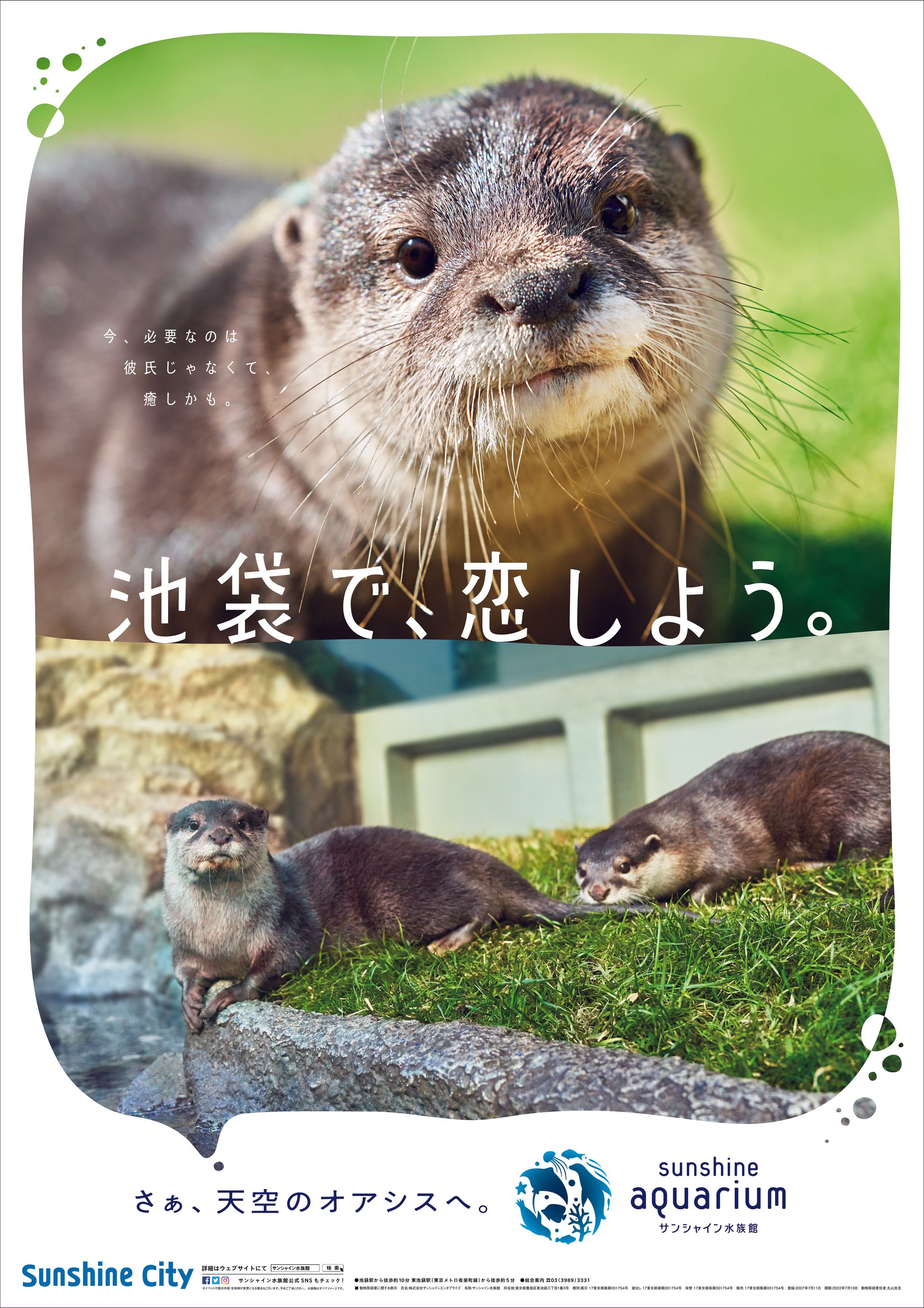 【サンシャイン水族館】池袋で、恋しよう。-1
