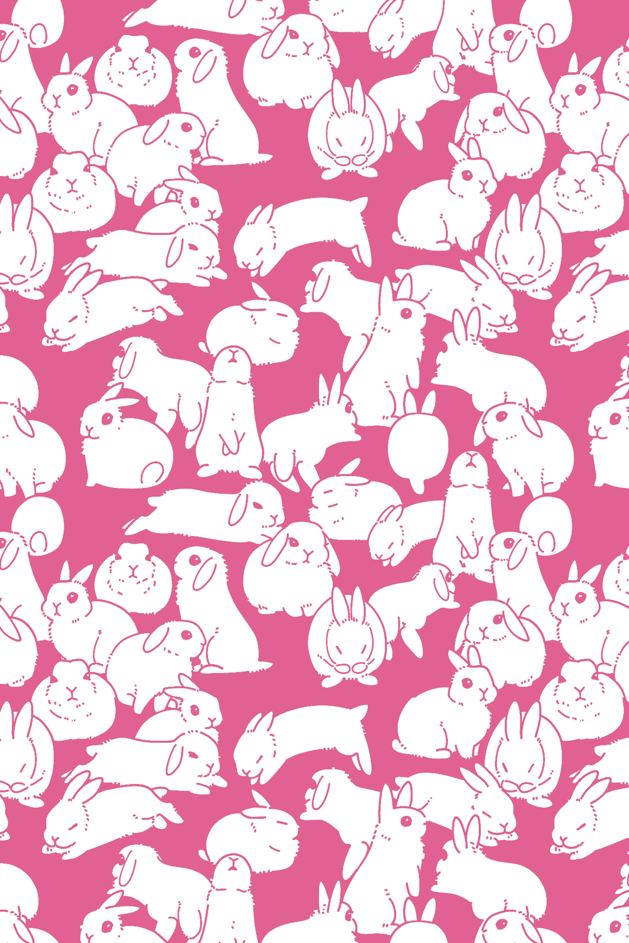 ぎっしりうさぎさん-1