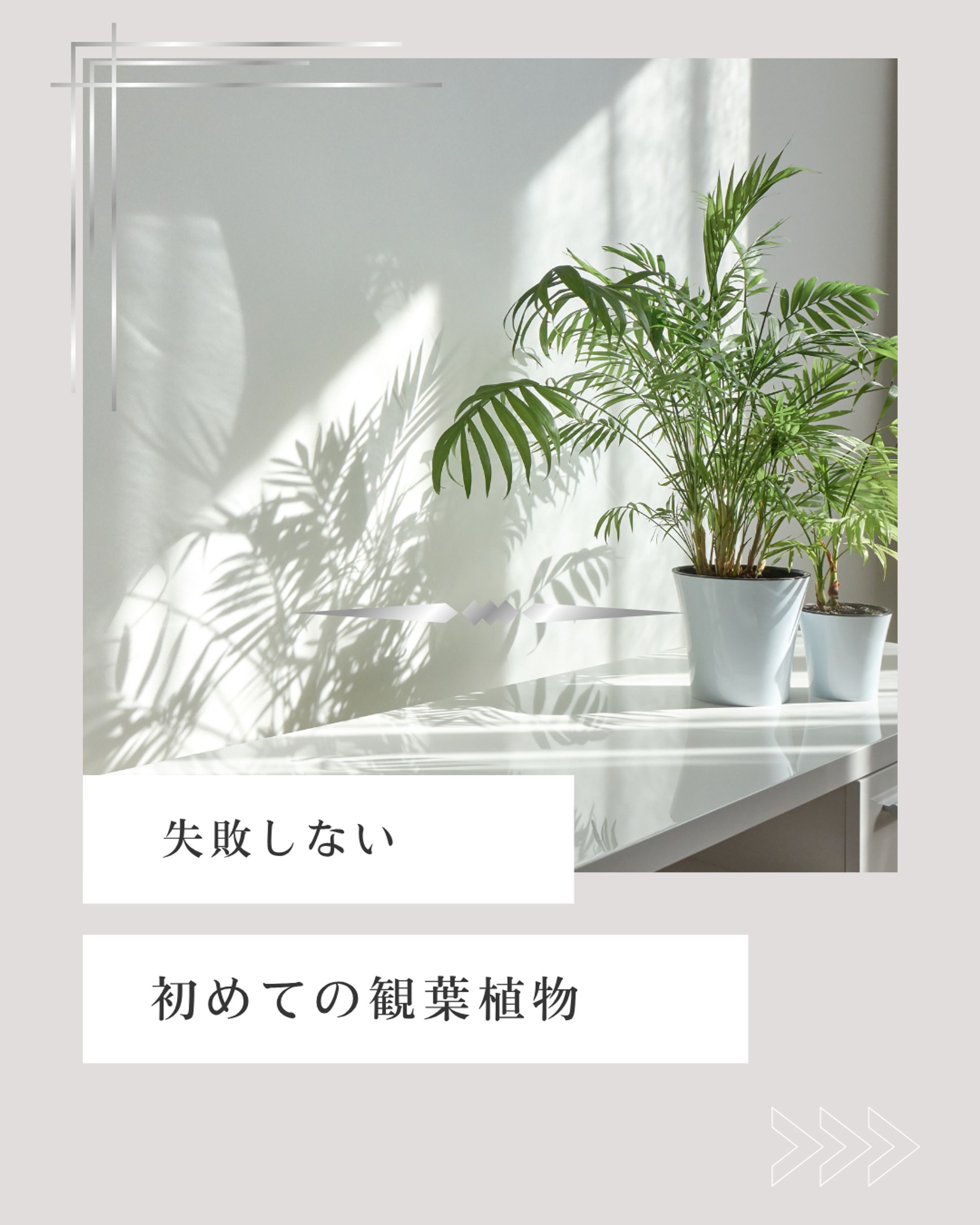 Instagram-1