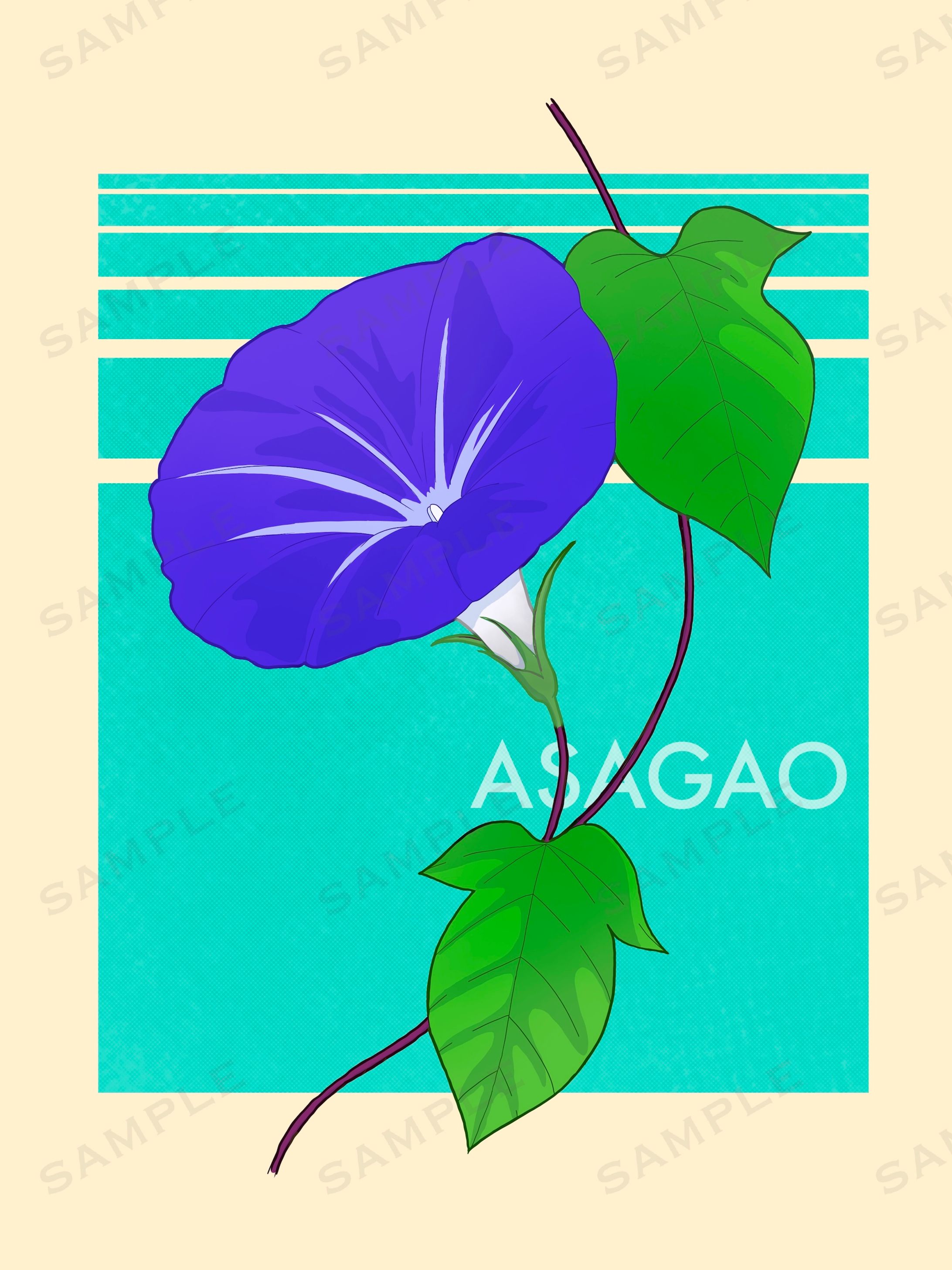 植物イラスト（朝顔）-1